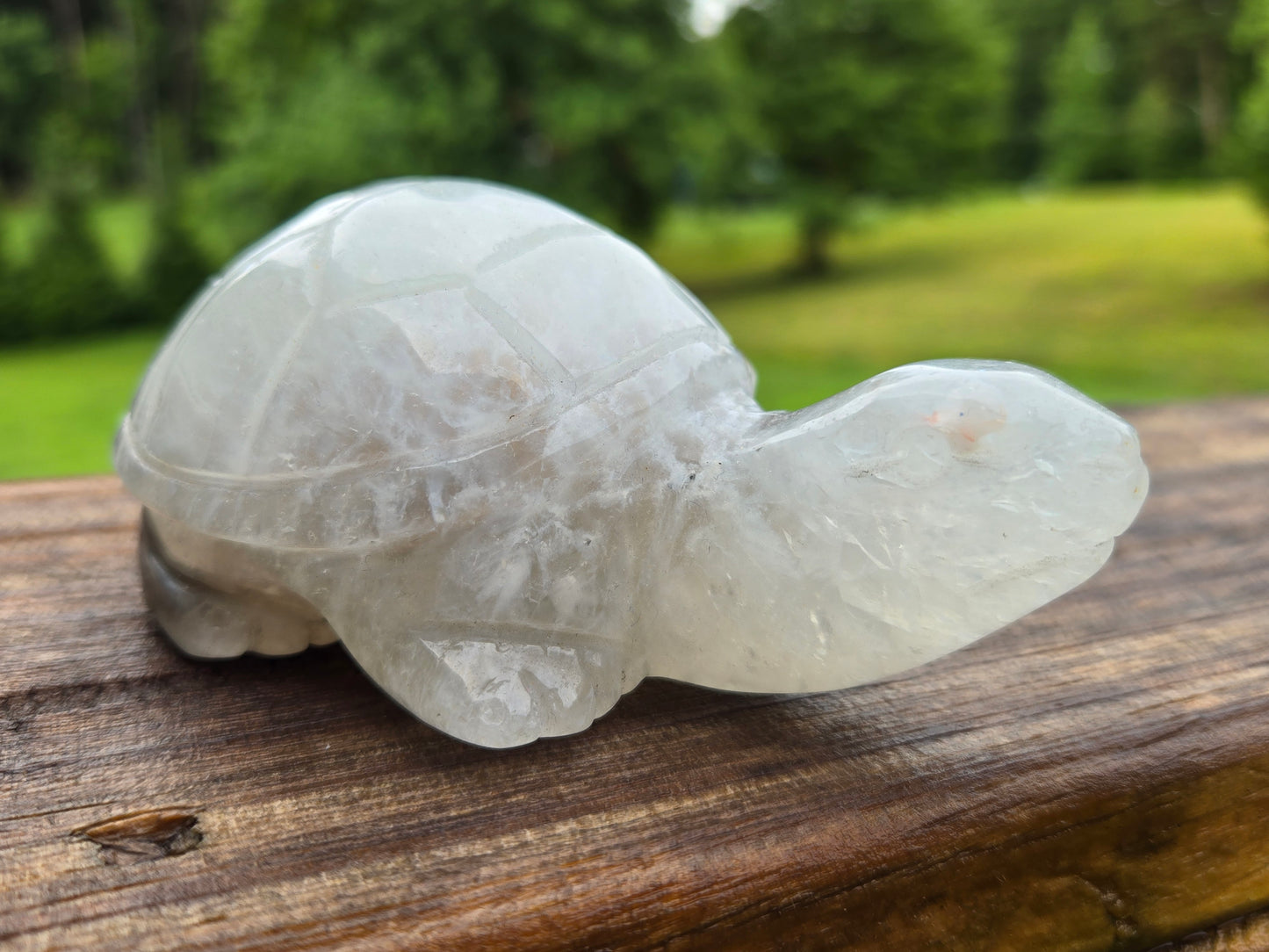 Agate Quartz Turtle Carving