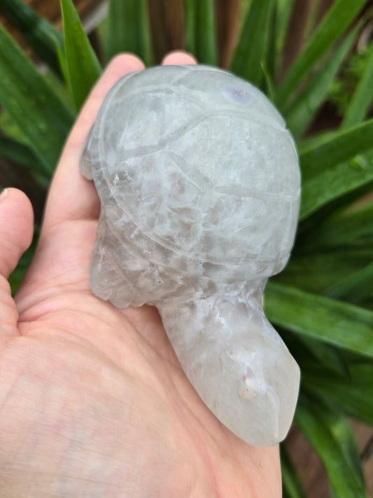 Agate Quartz Turtle Carving