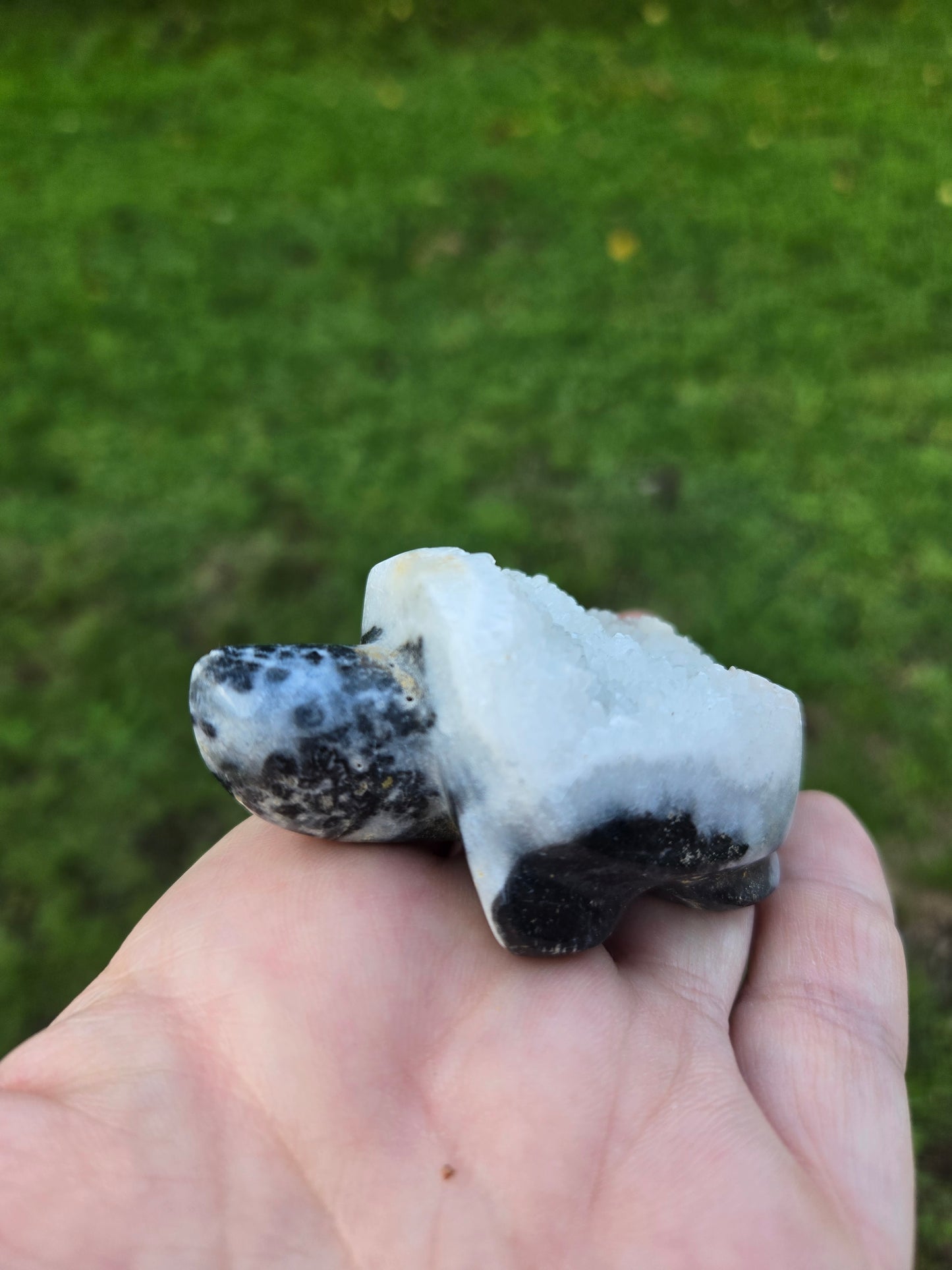 Turtle Carving (H)