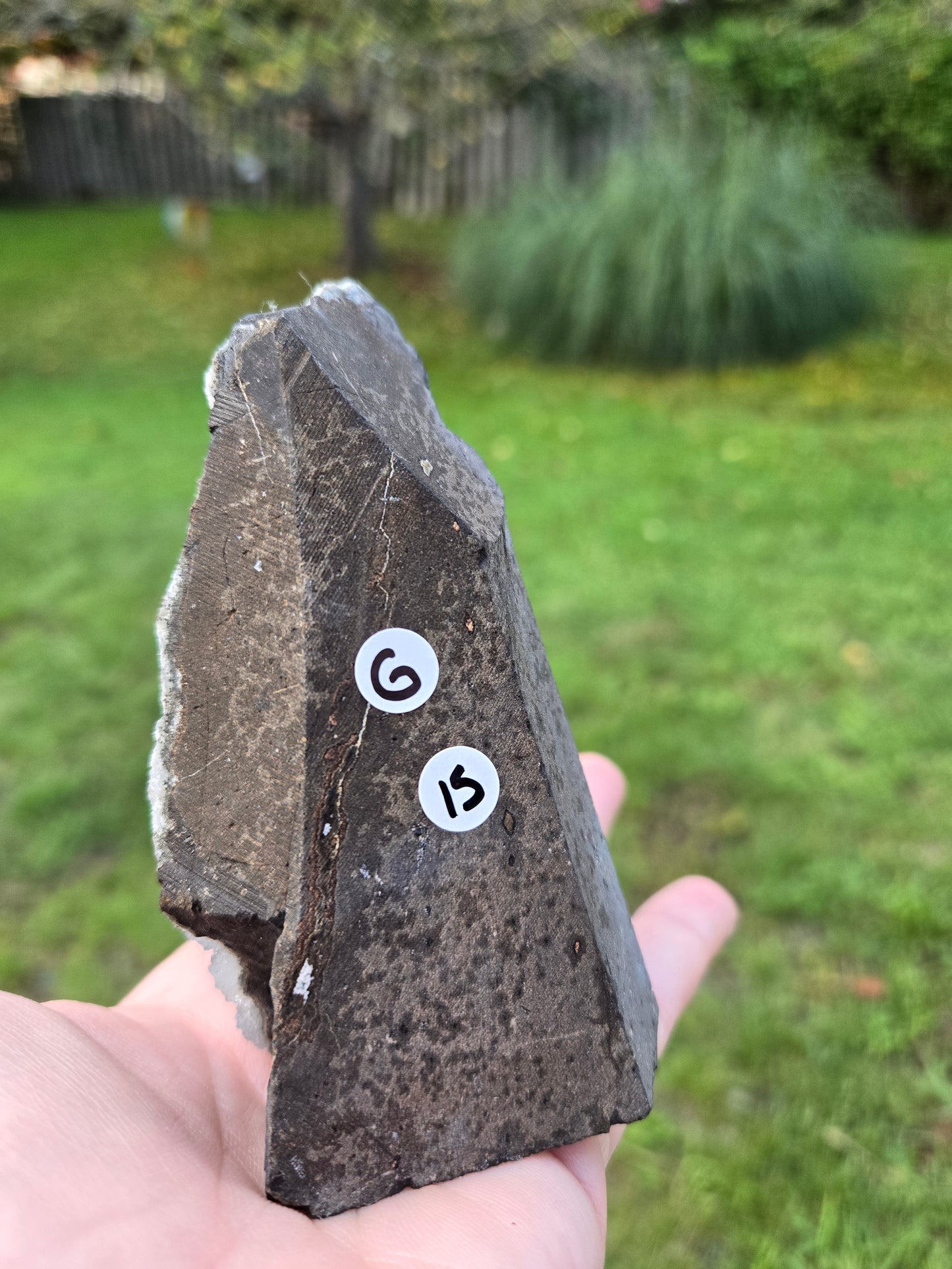 Amethyst Cutbase (G)