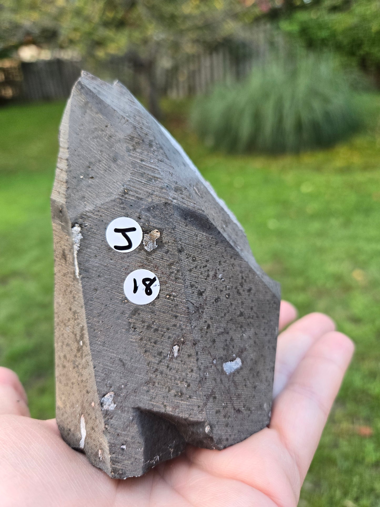 Amethyst Cutbase (J)