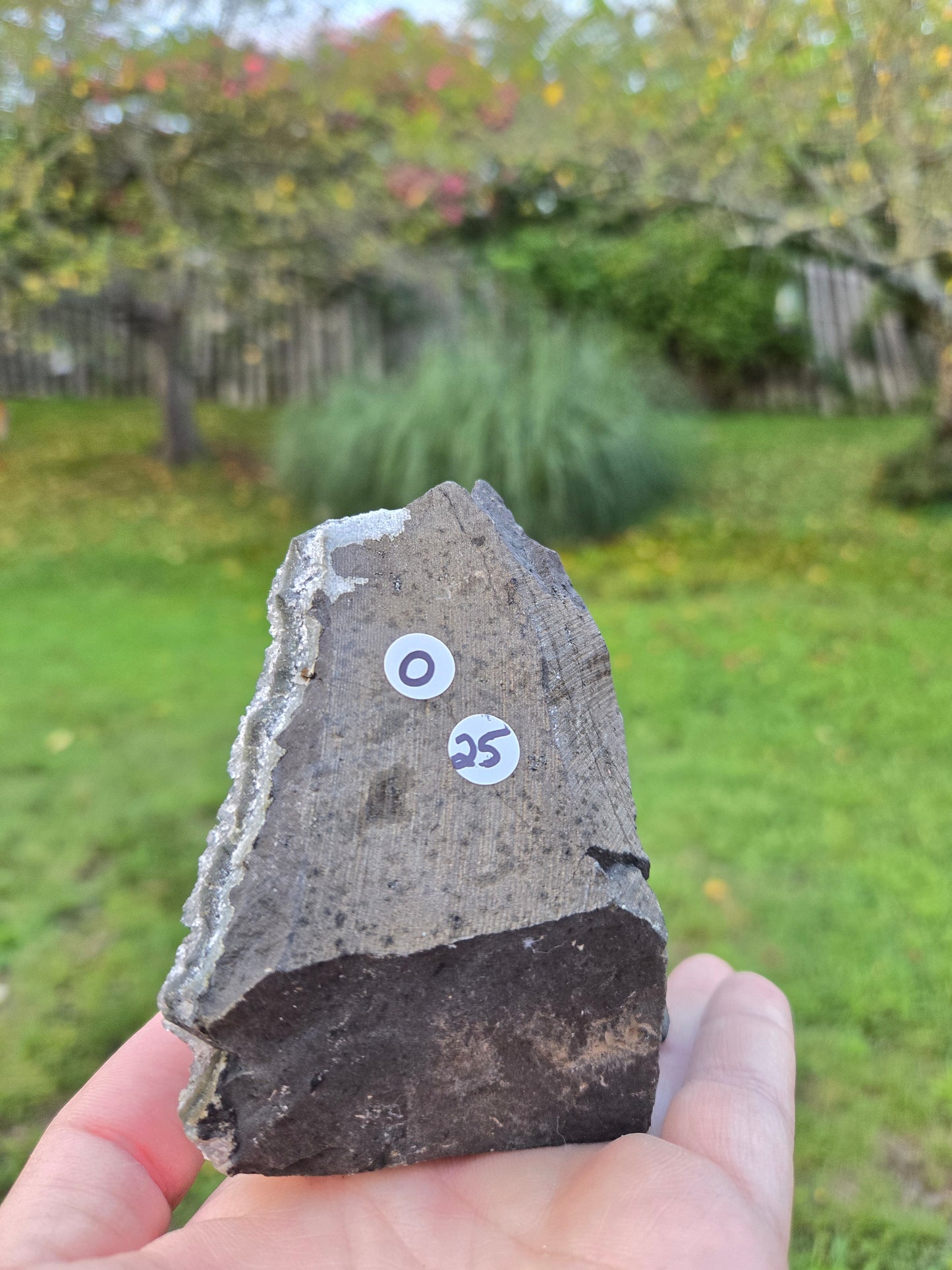 Amethyst Cutbase (O)
