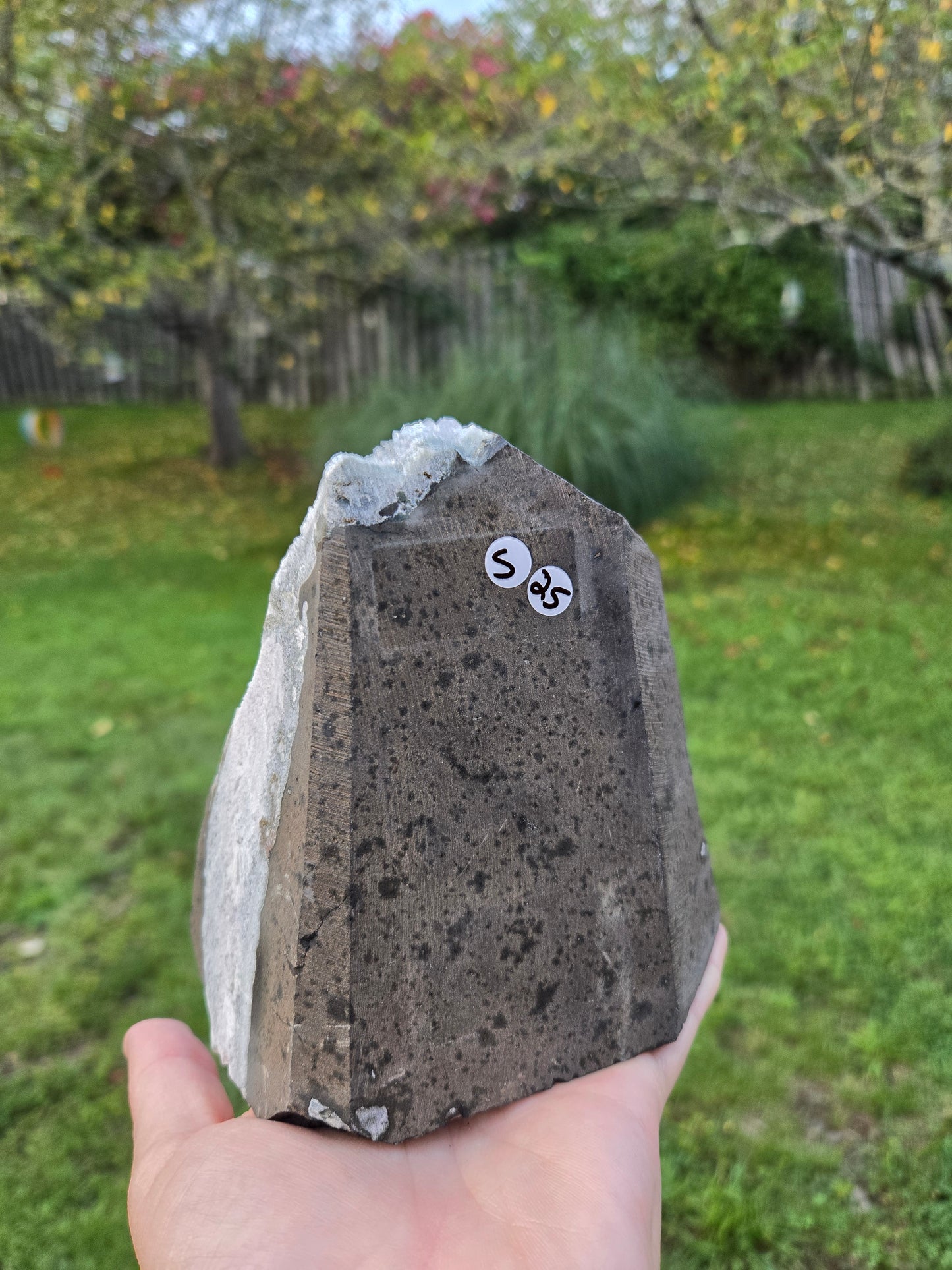 Amethyst Cutbase (S)