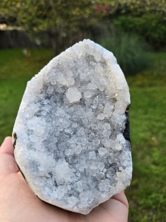 Amethyst Cutbase (U)