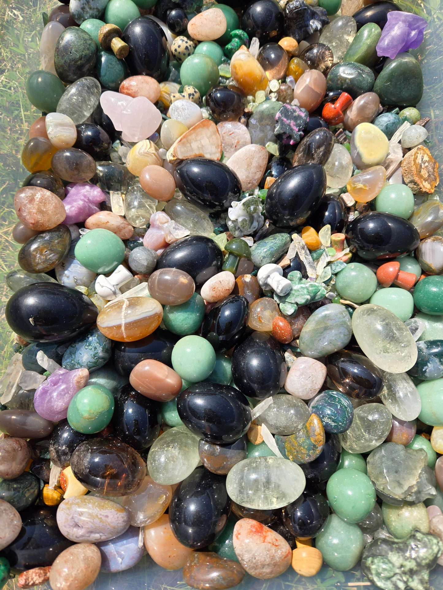 Enchanted Forest Crystal Confetti Scoops