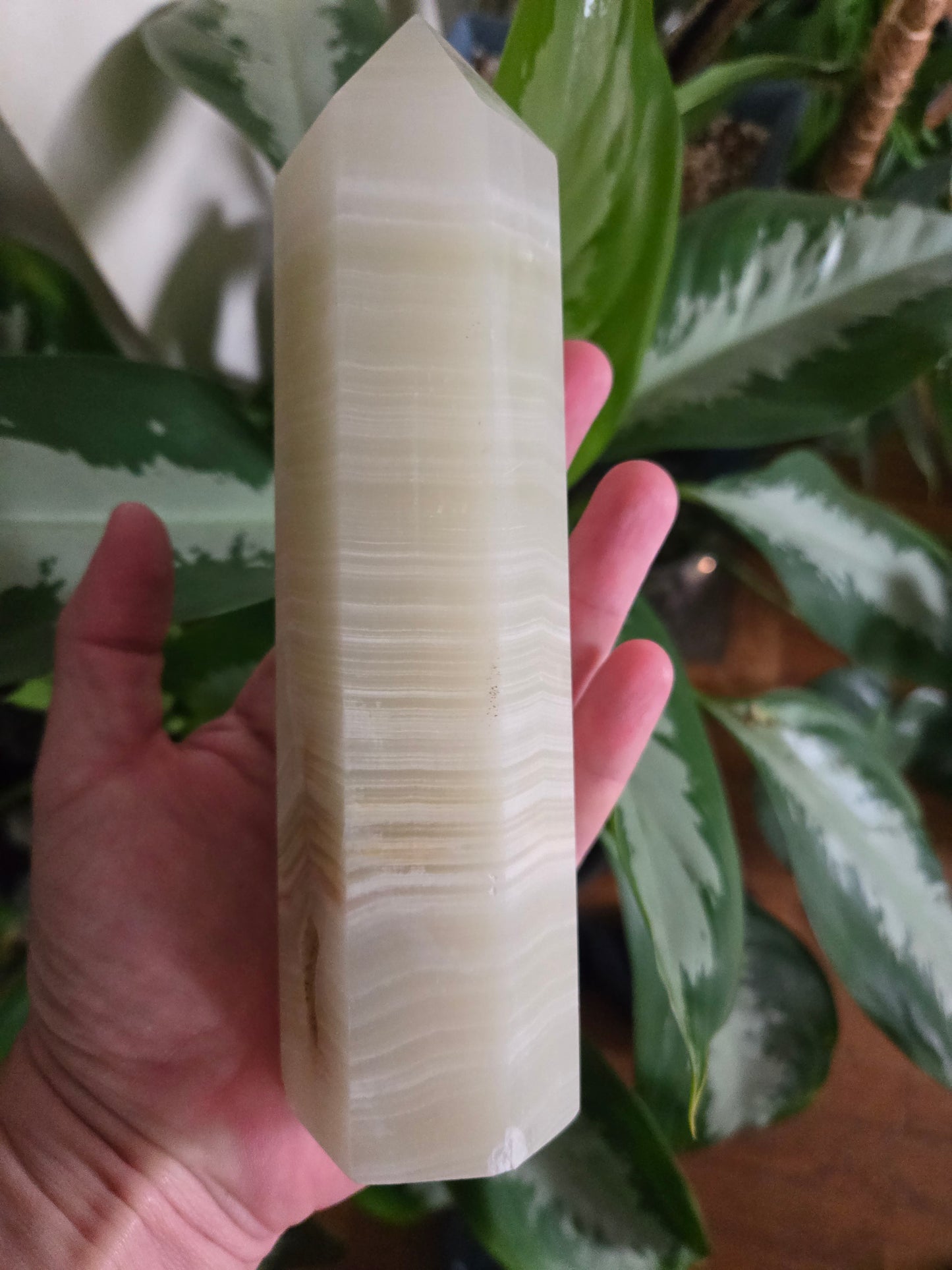 XL Banded Green Calcite