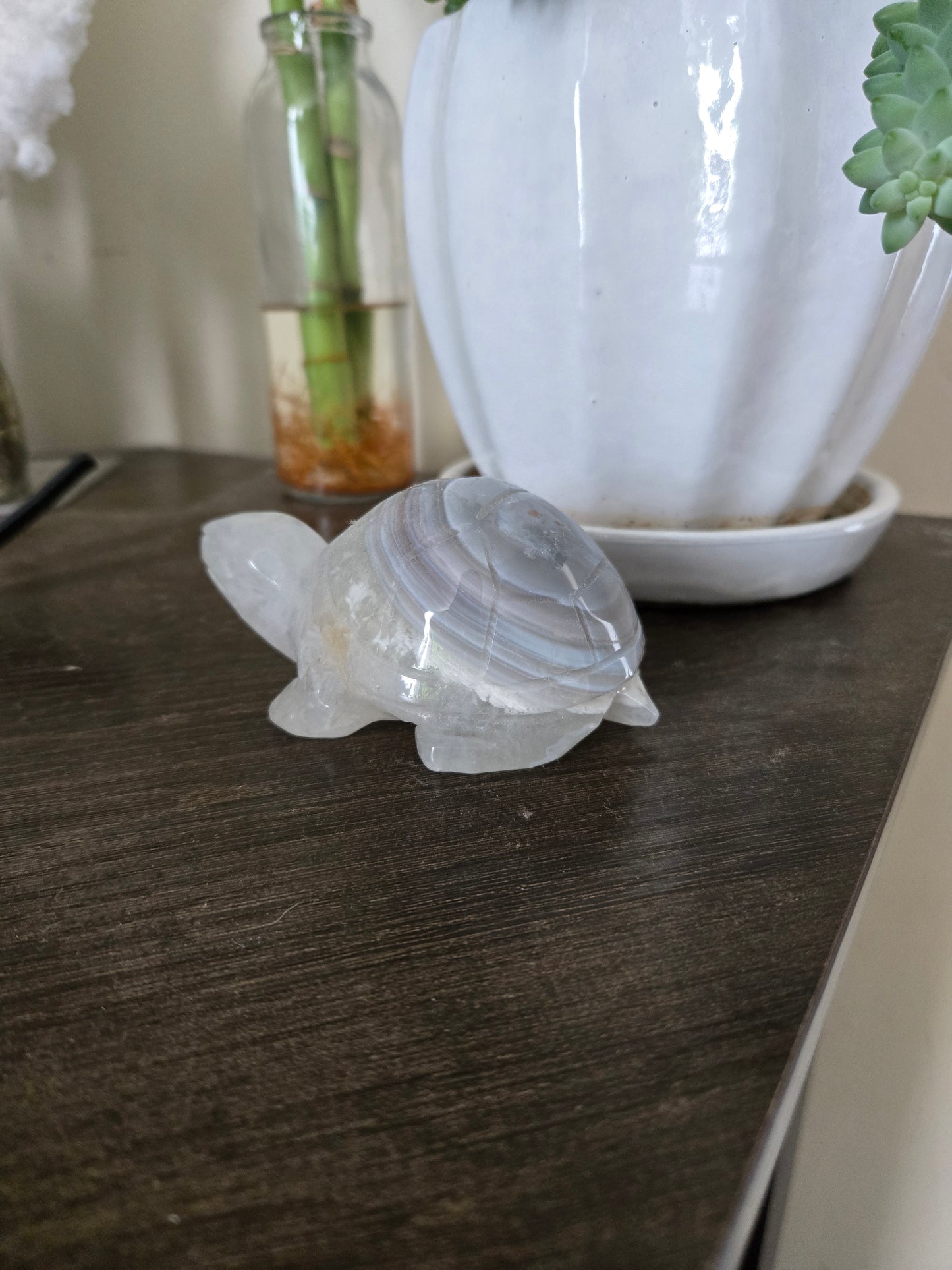 Agate Turtle