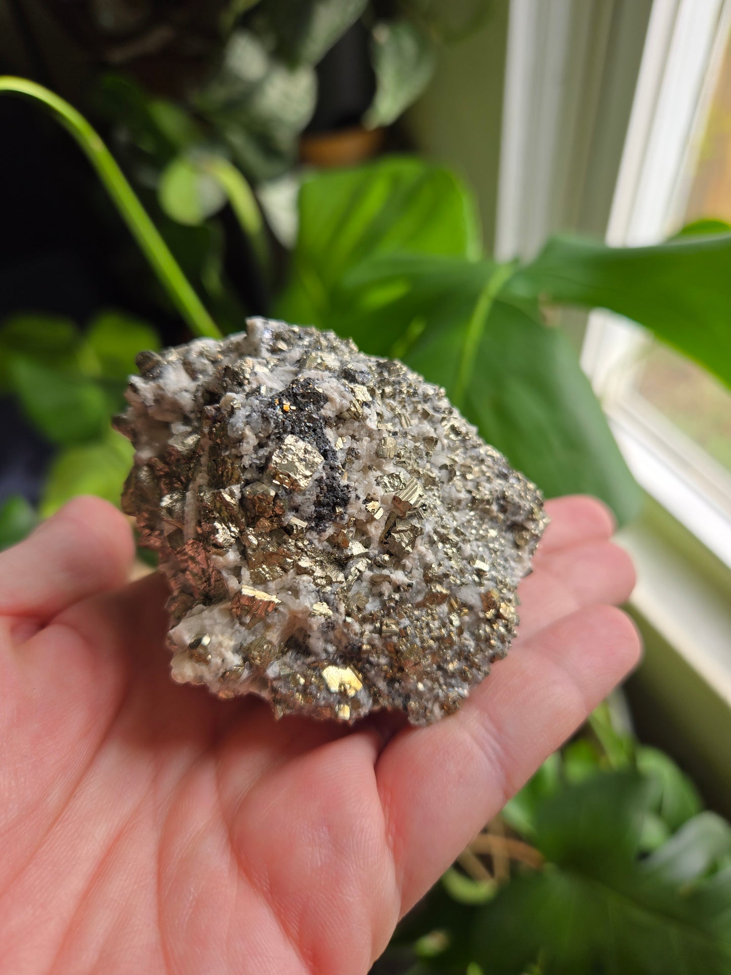 Pyrite and Quartz