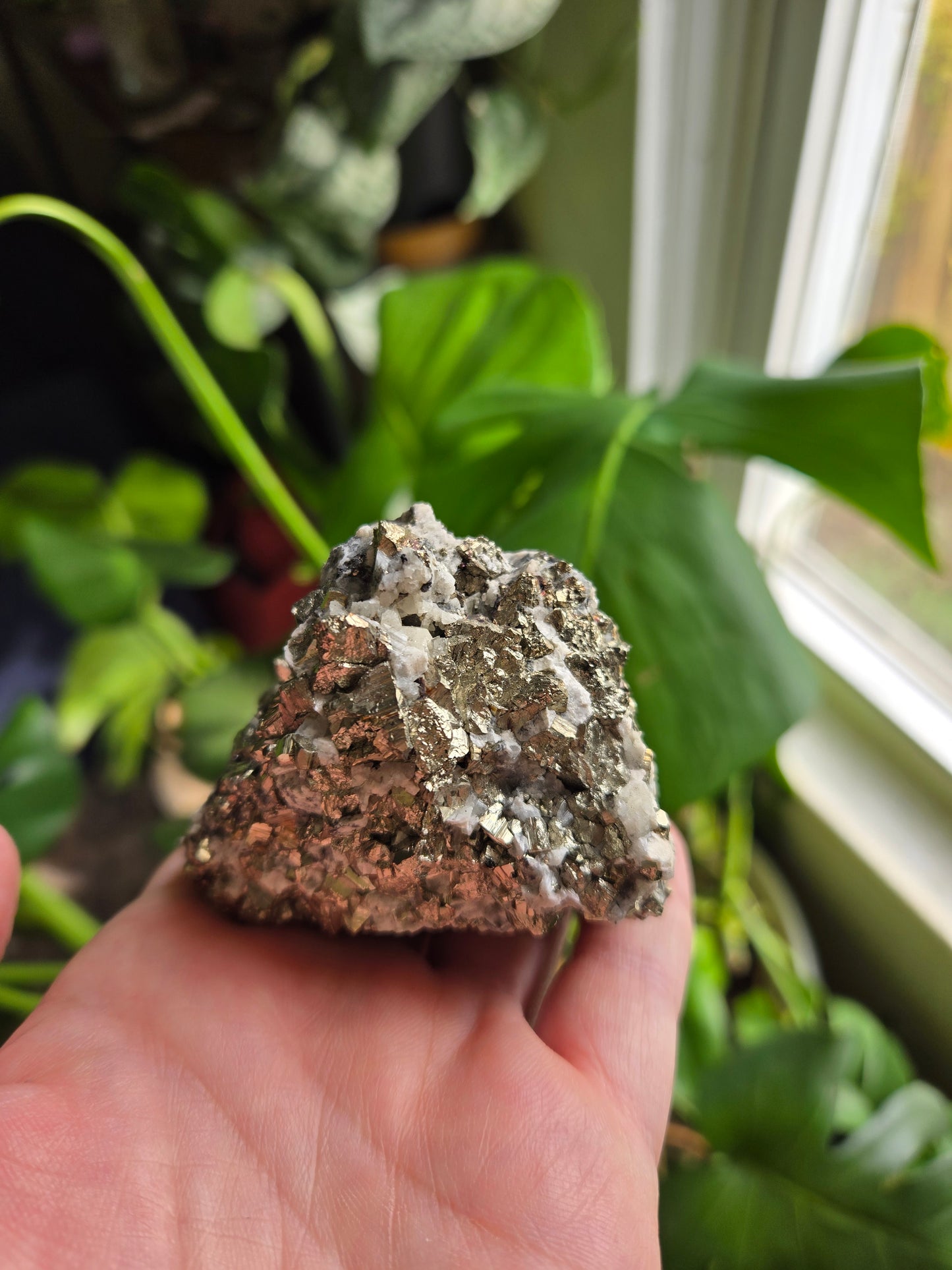 Pyrite and Quartz