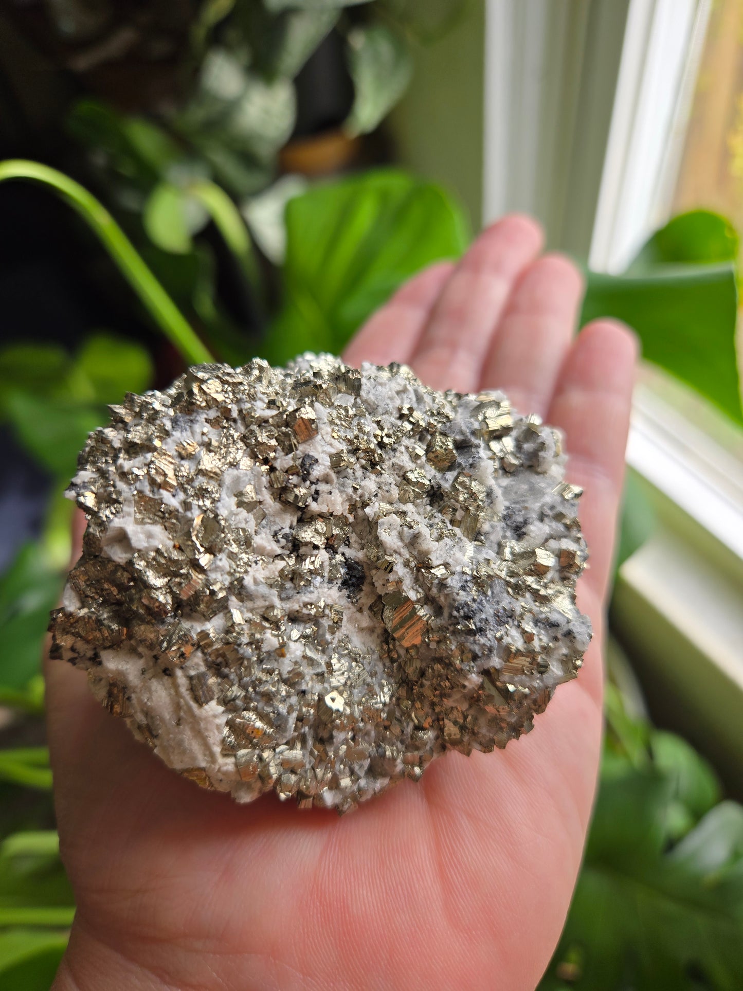 Pyrite and Quartz