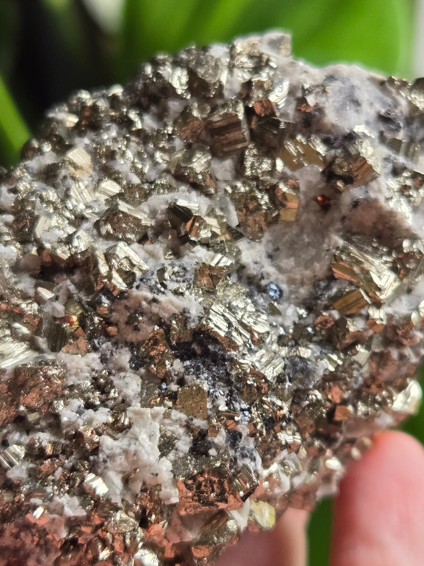 Pyrite and Quartz