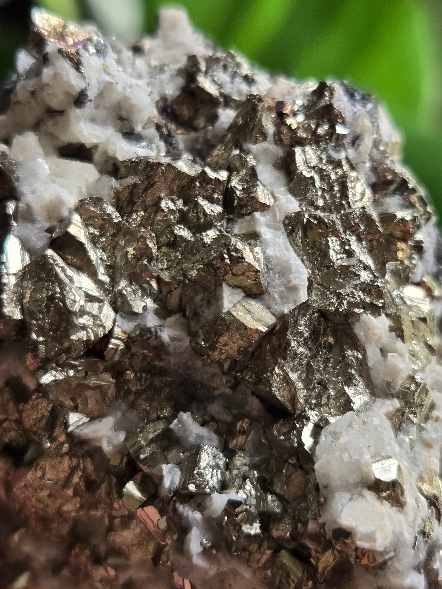 Pyrite and Quartz