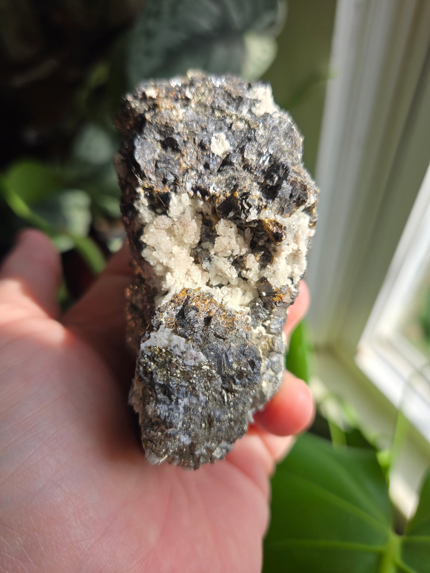 Pyrite Specimen