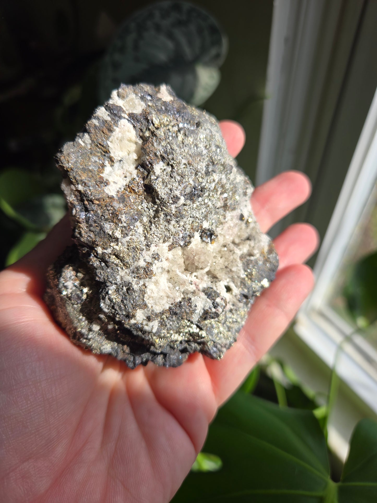 Pyrite Specimen