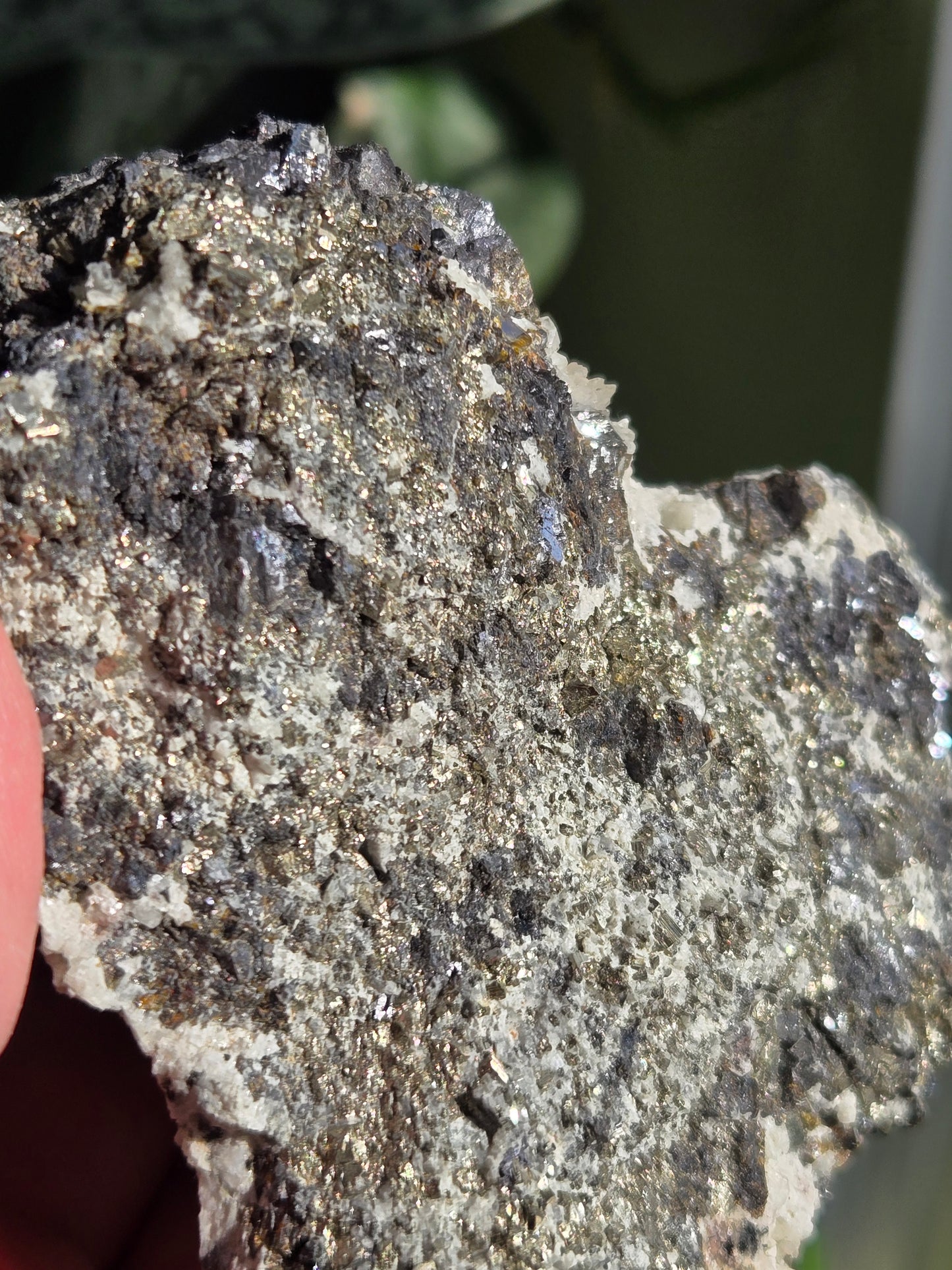 Pyrite Specimen