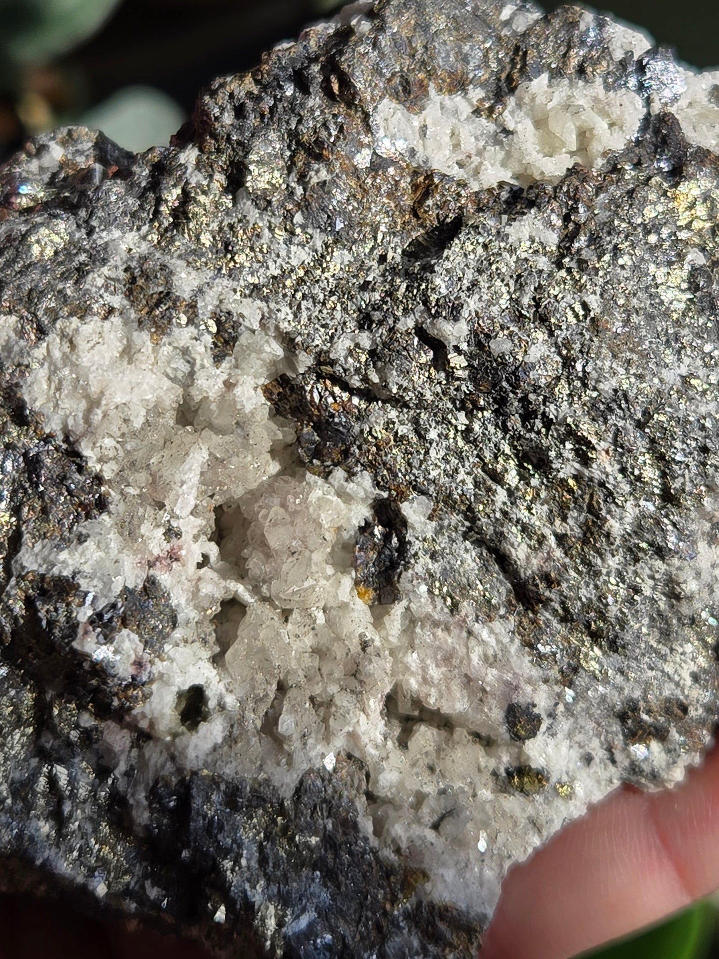 Pyrite Specimen