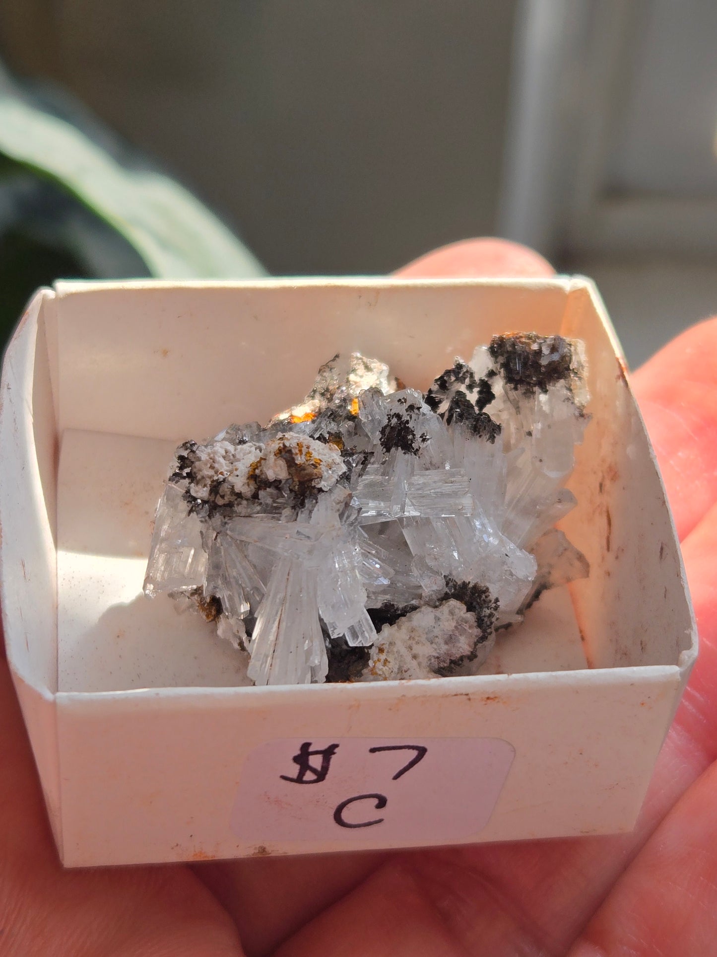 Hemimorphite from Mexico