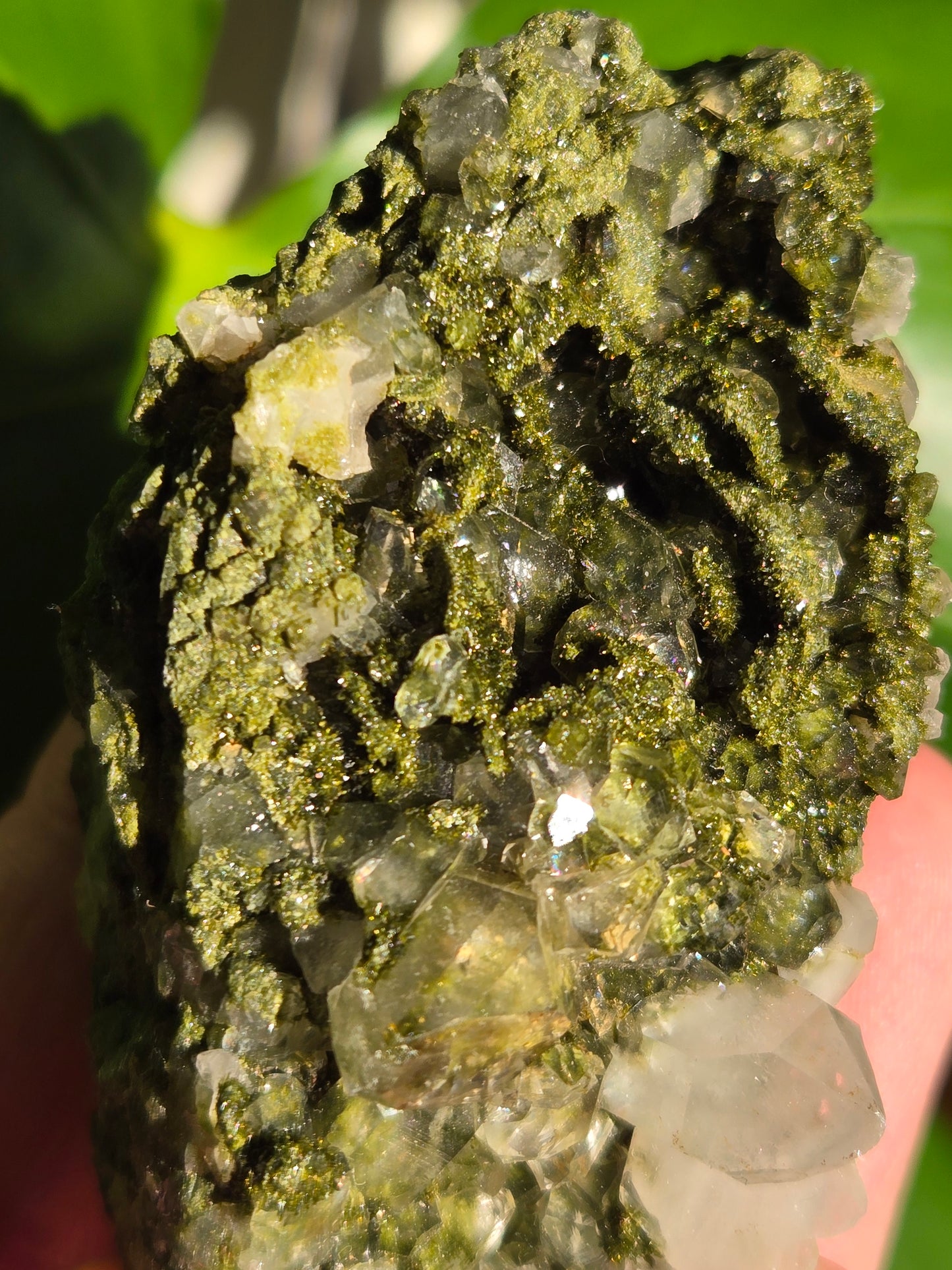 Forest Epidote with Quartz