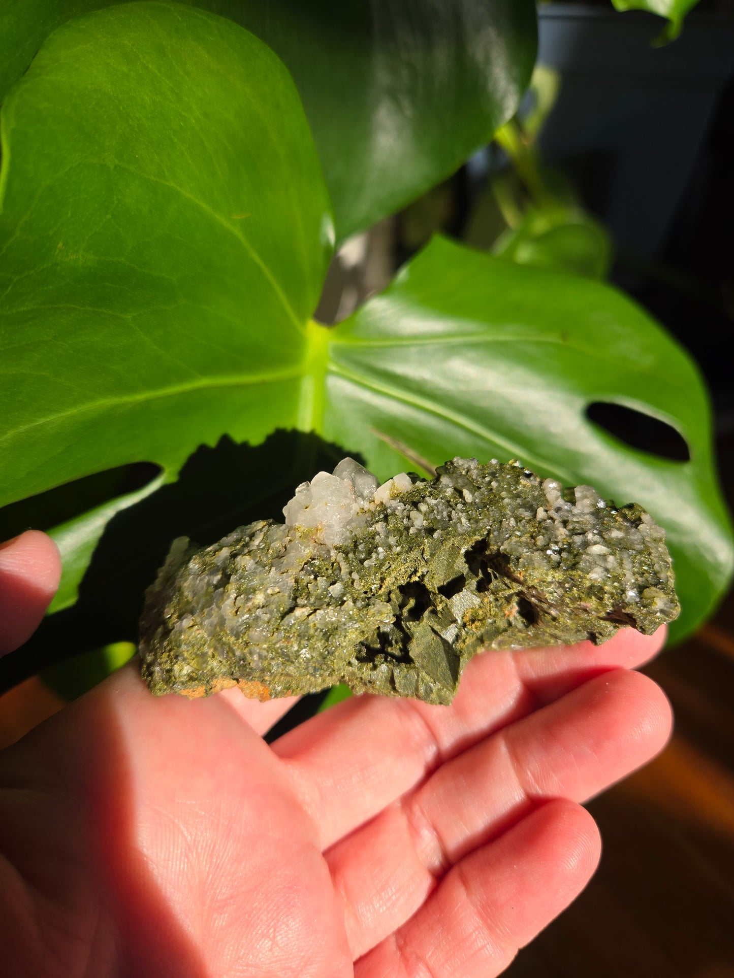 Forest Epidote with Quartz