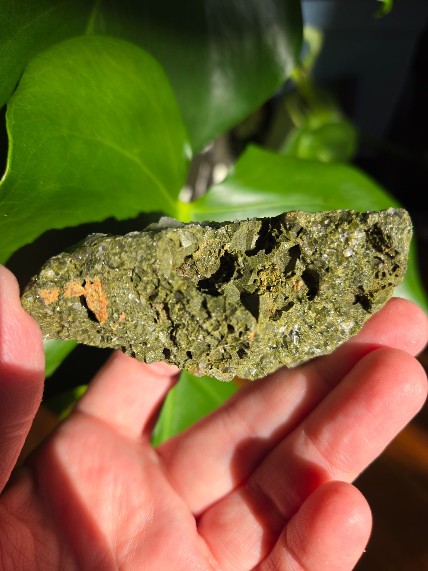 Forest Epidote with Quartz