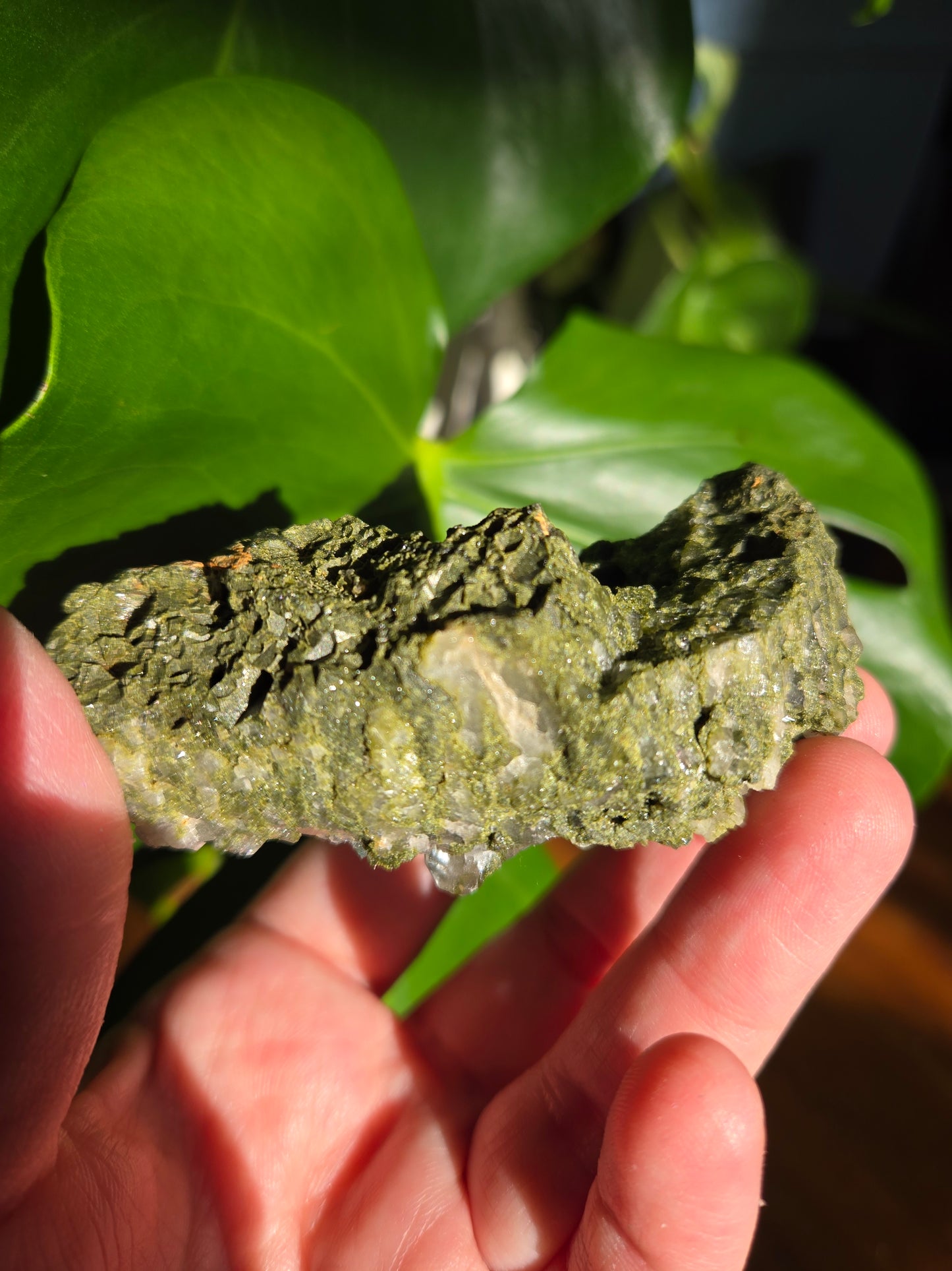 Forest Epidote with Quartz