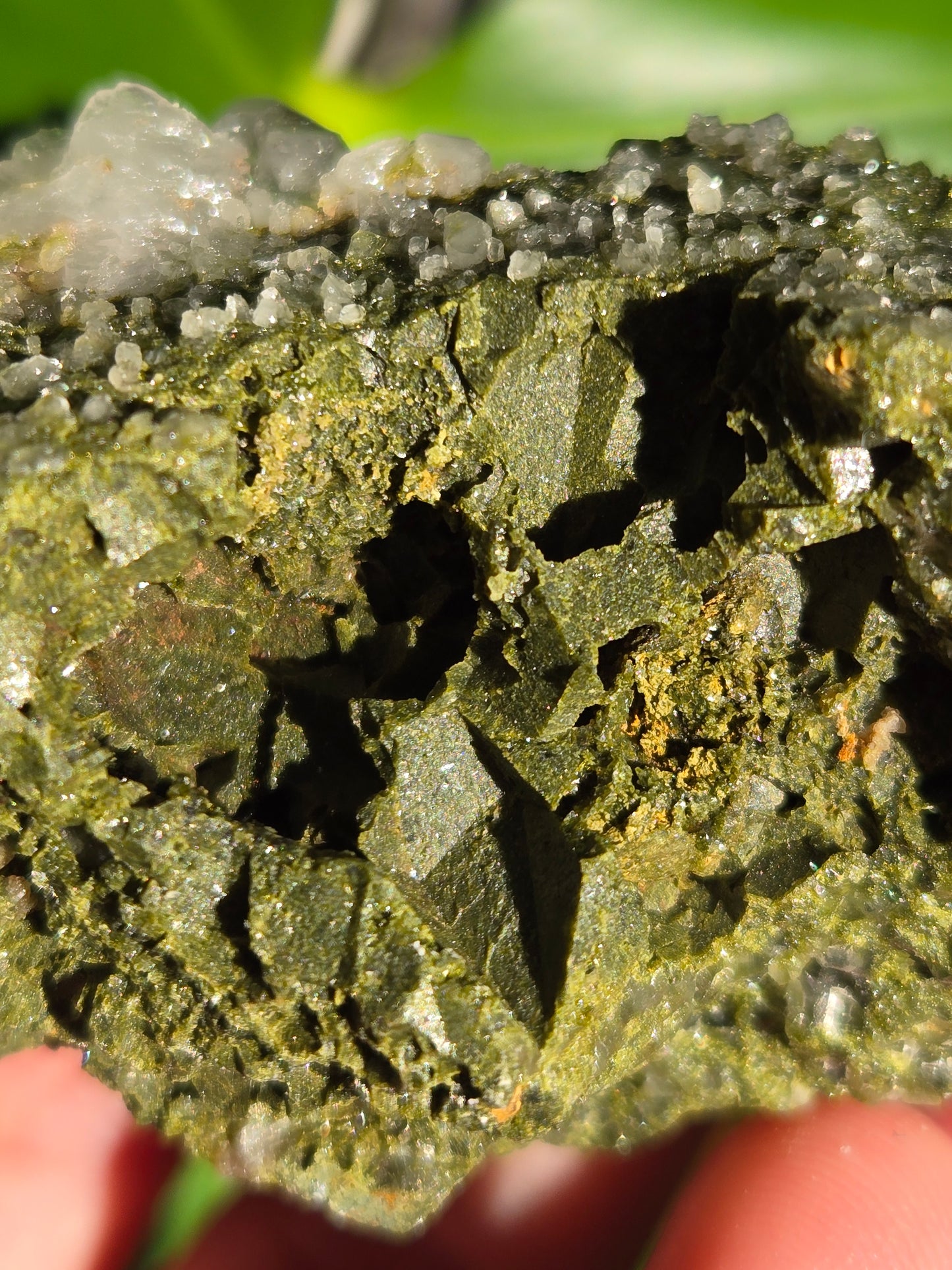 Forest Epidote with Quartz