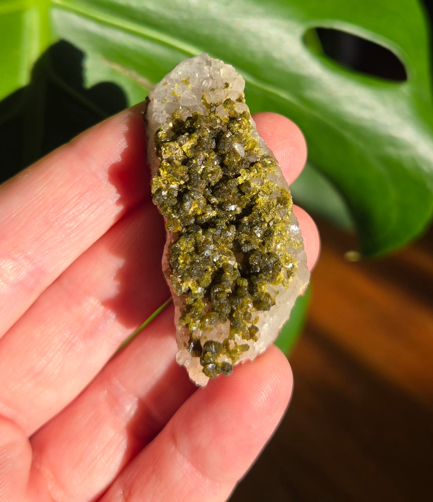 Forest Epidote with Quartz