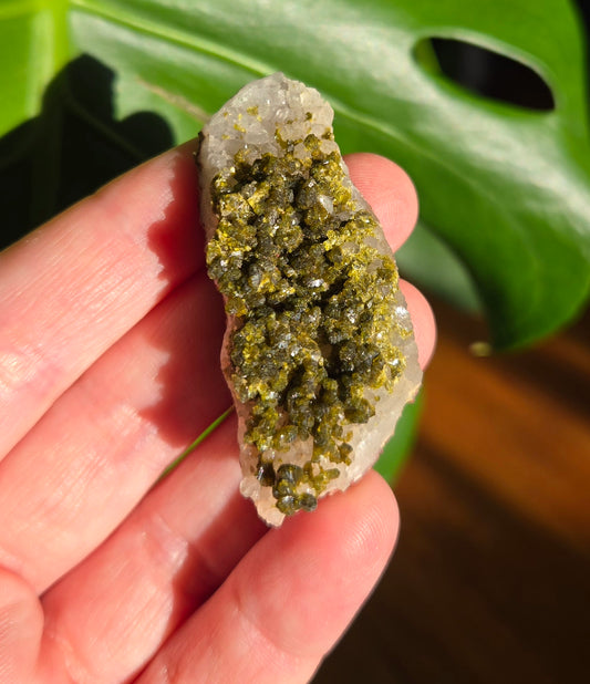 Forest Epidote with Quartz