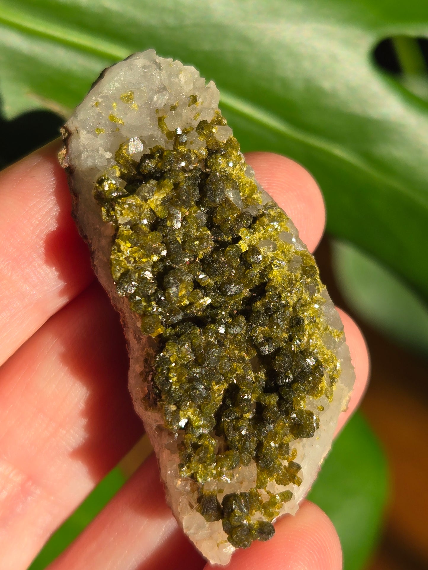 Forest Epidote with Quartz