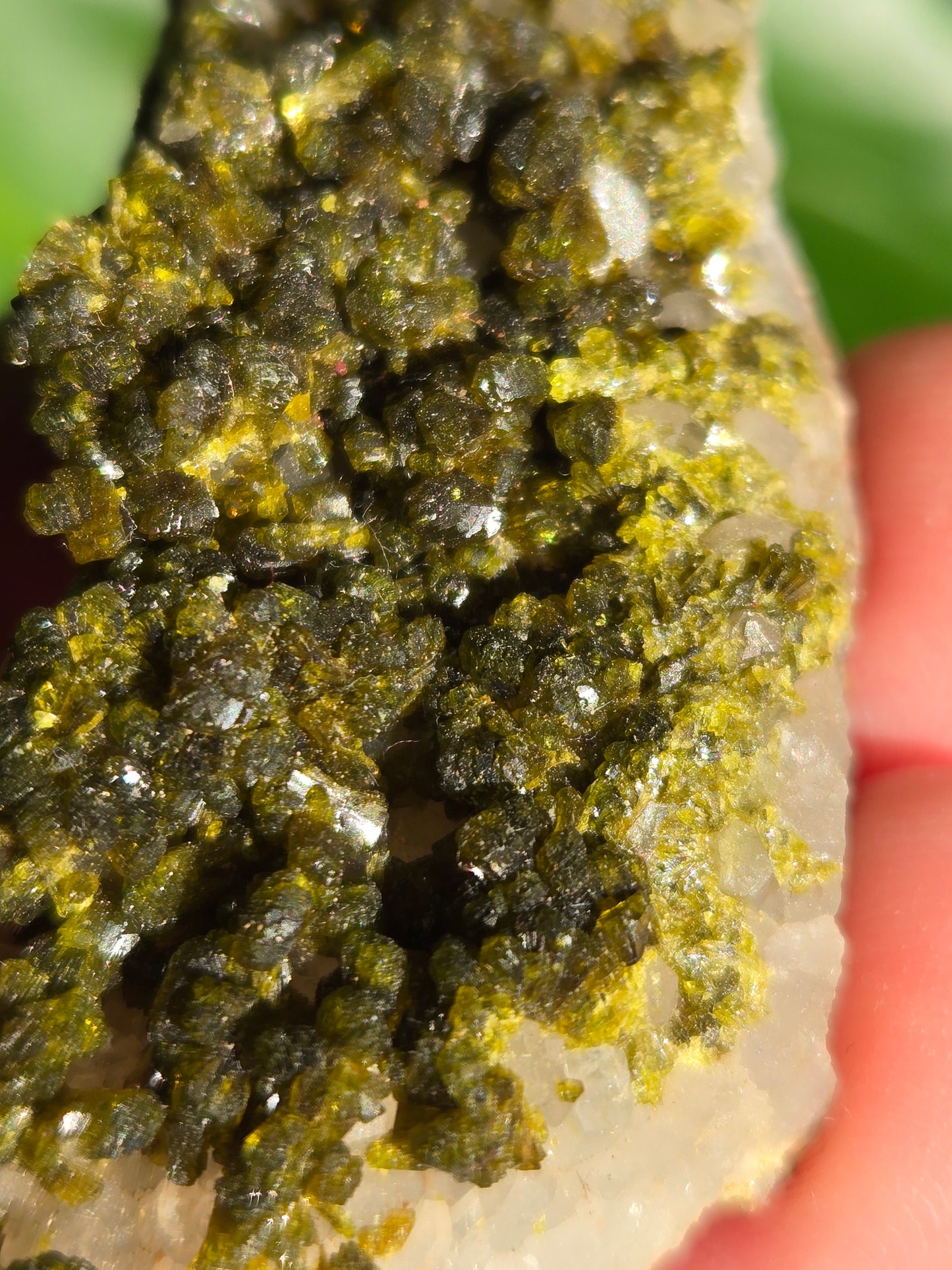 Forest Epidote with Quartz