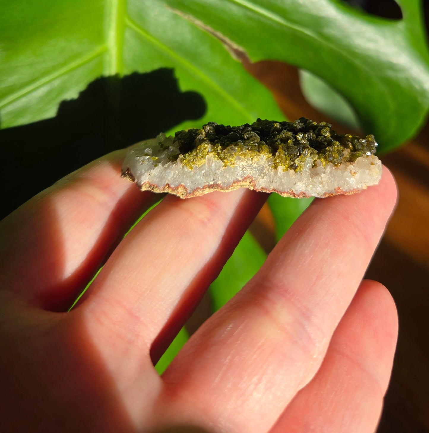 Forest Epidote with Quartz