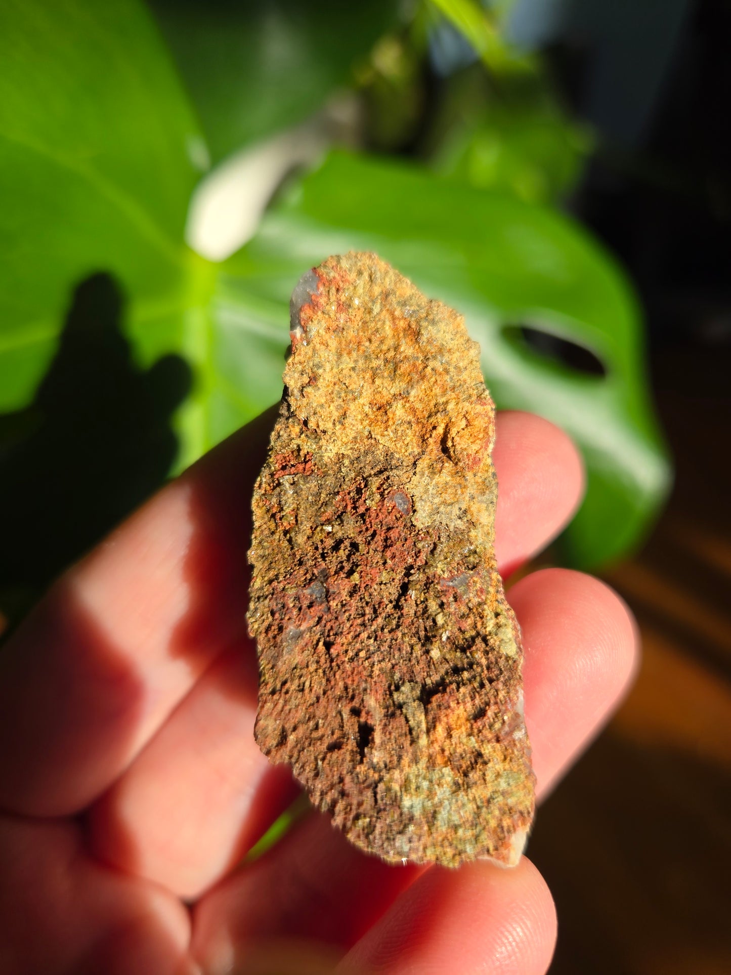 Forest Epidote with Quartz