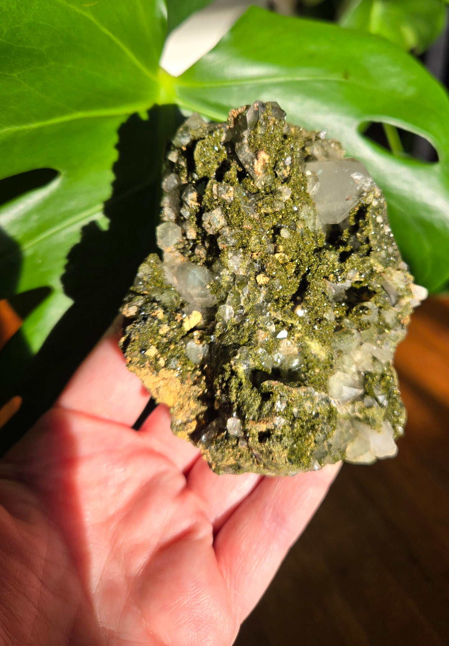 Forest Epidote with Quartz