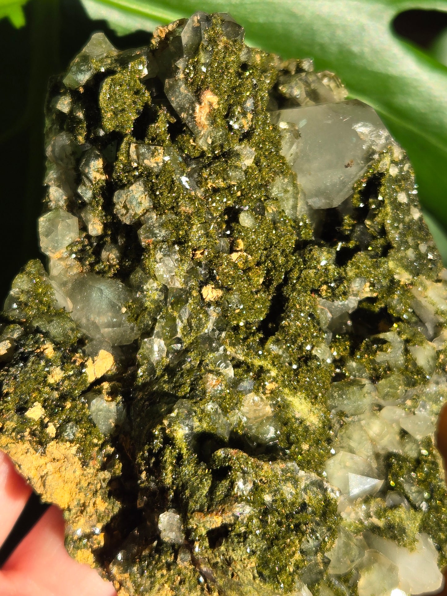 Forest Epidote with Quartz