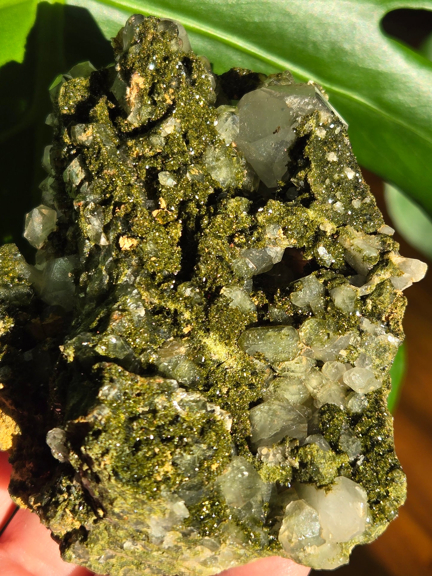 Forest Epidote with Quartz