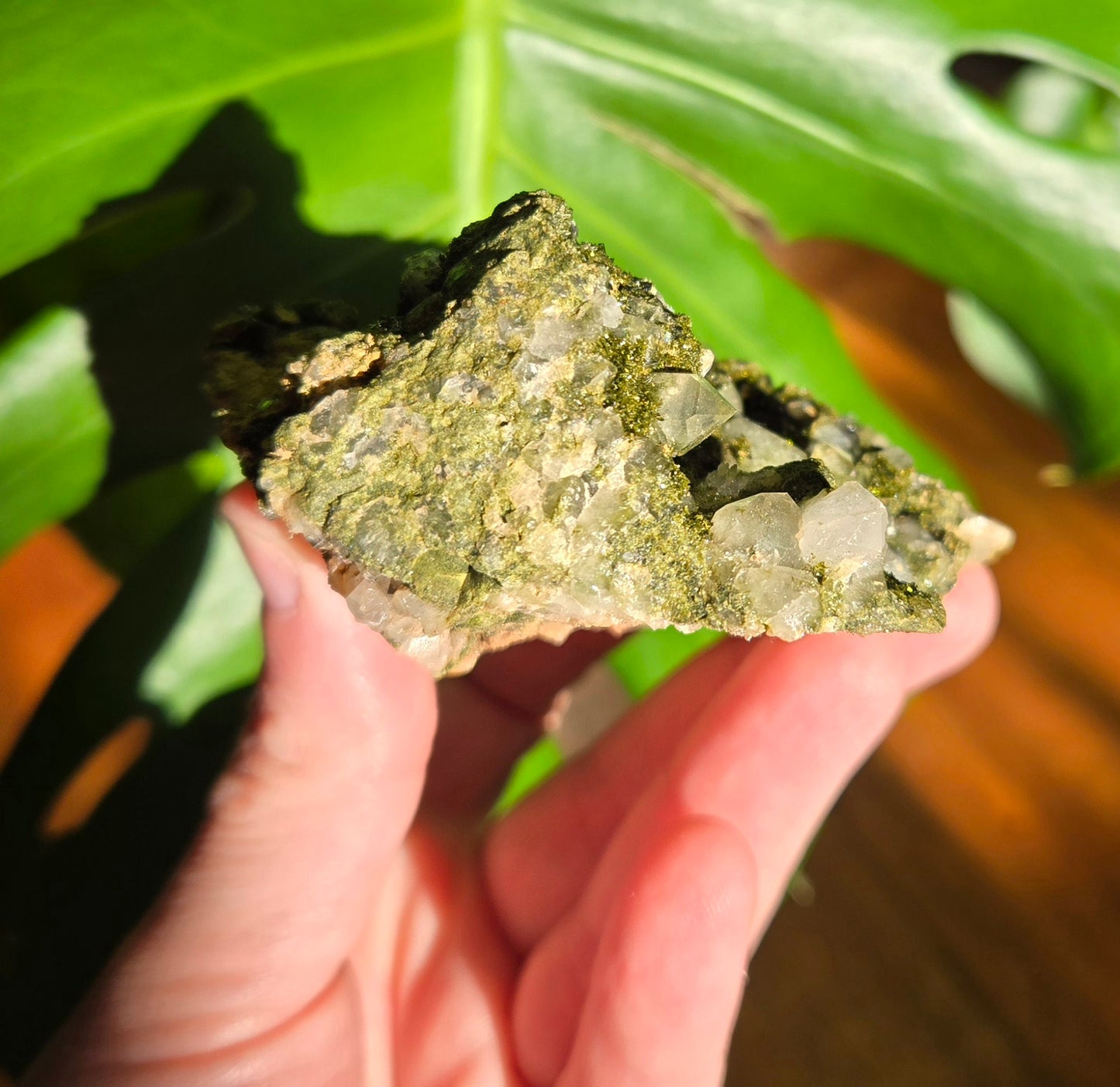 Forest Epidote with Quartz