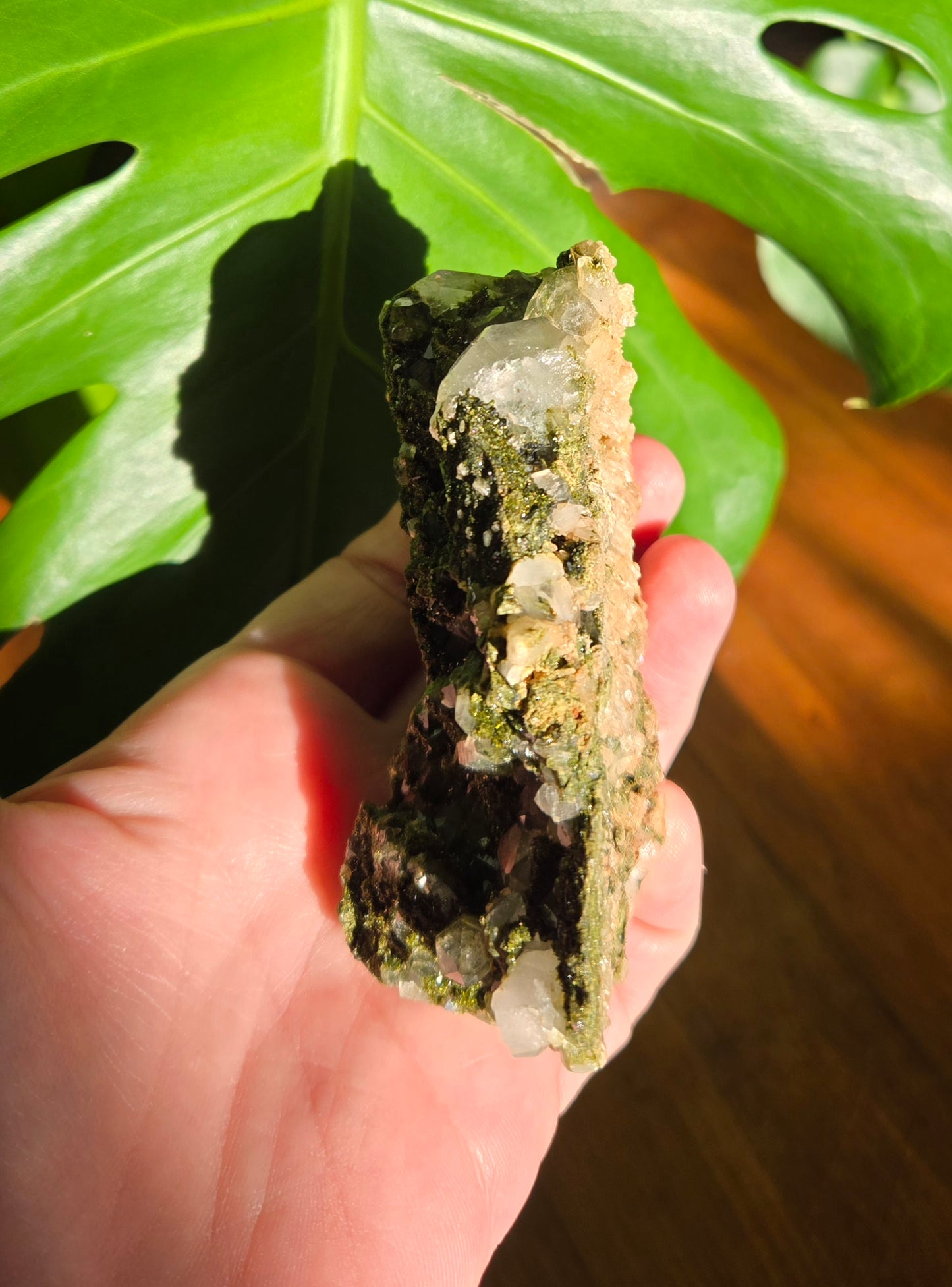 Forest Epidote with Quartz
