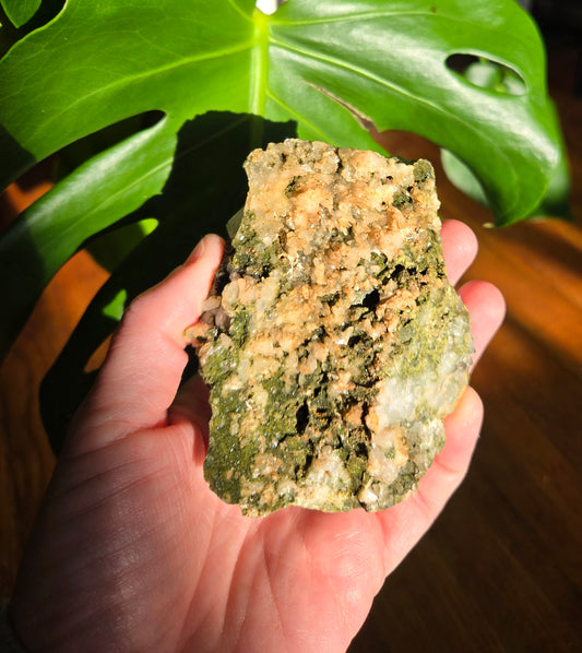 Forest Epidote with Quartz