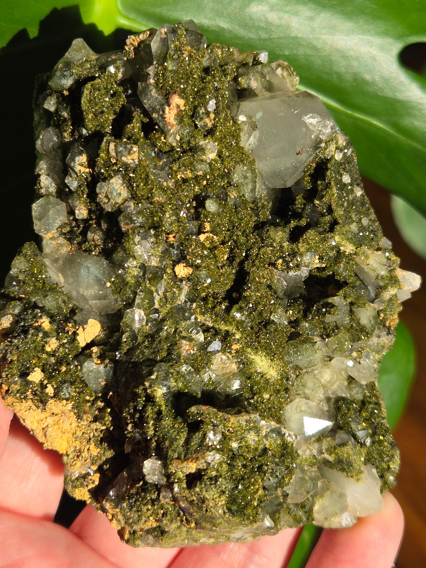 Forest Epidote with Quartz