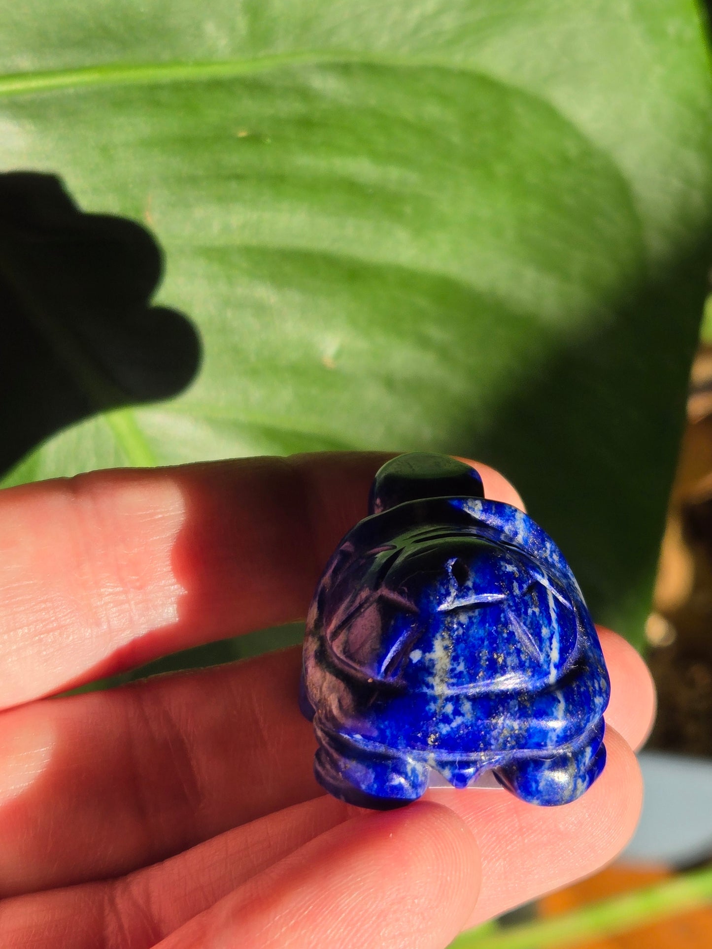 Sodalite Turtle Carving (B)