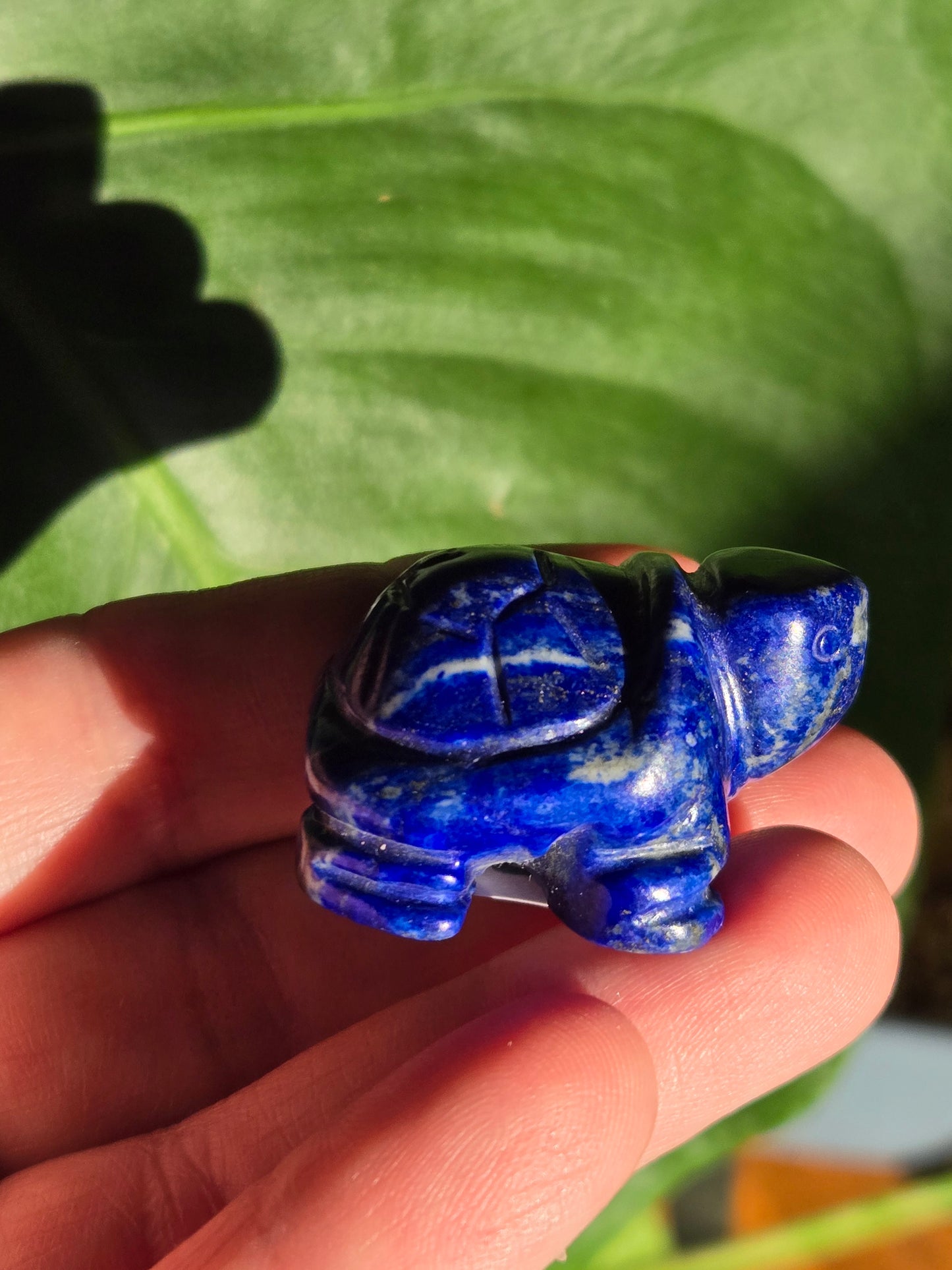 Sodalite Turtle Carving (B)