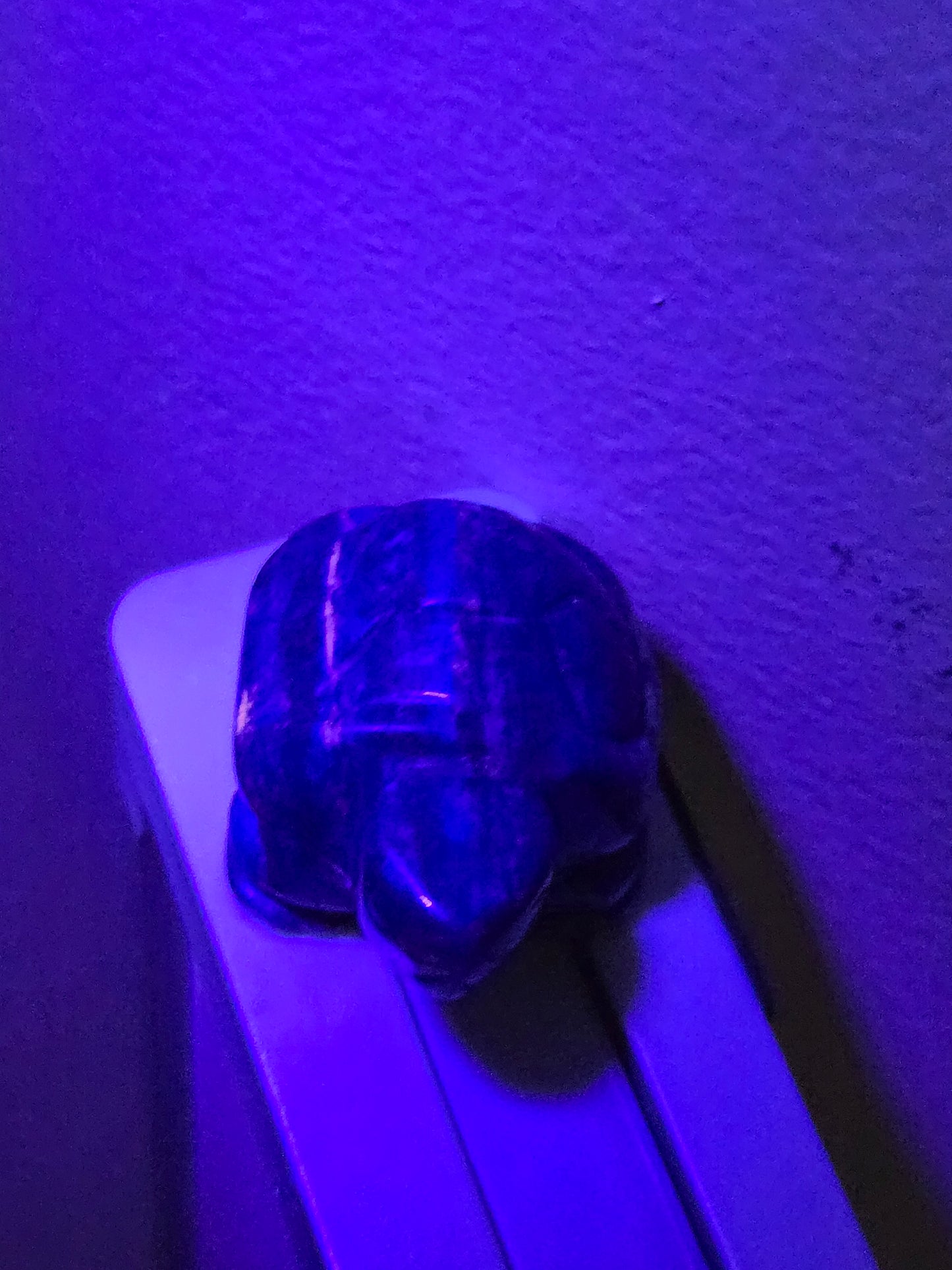 Sodalite Turtle Carving (B)