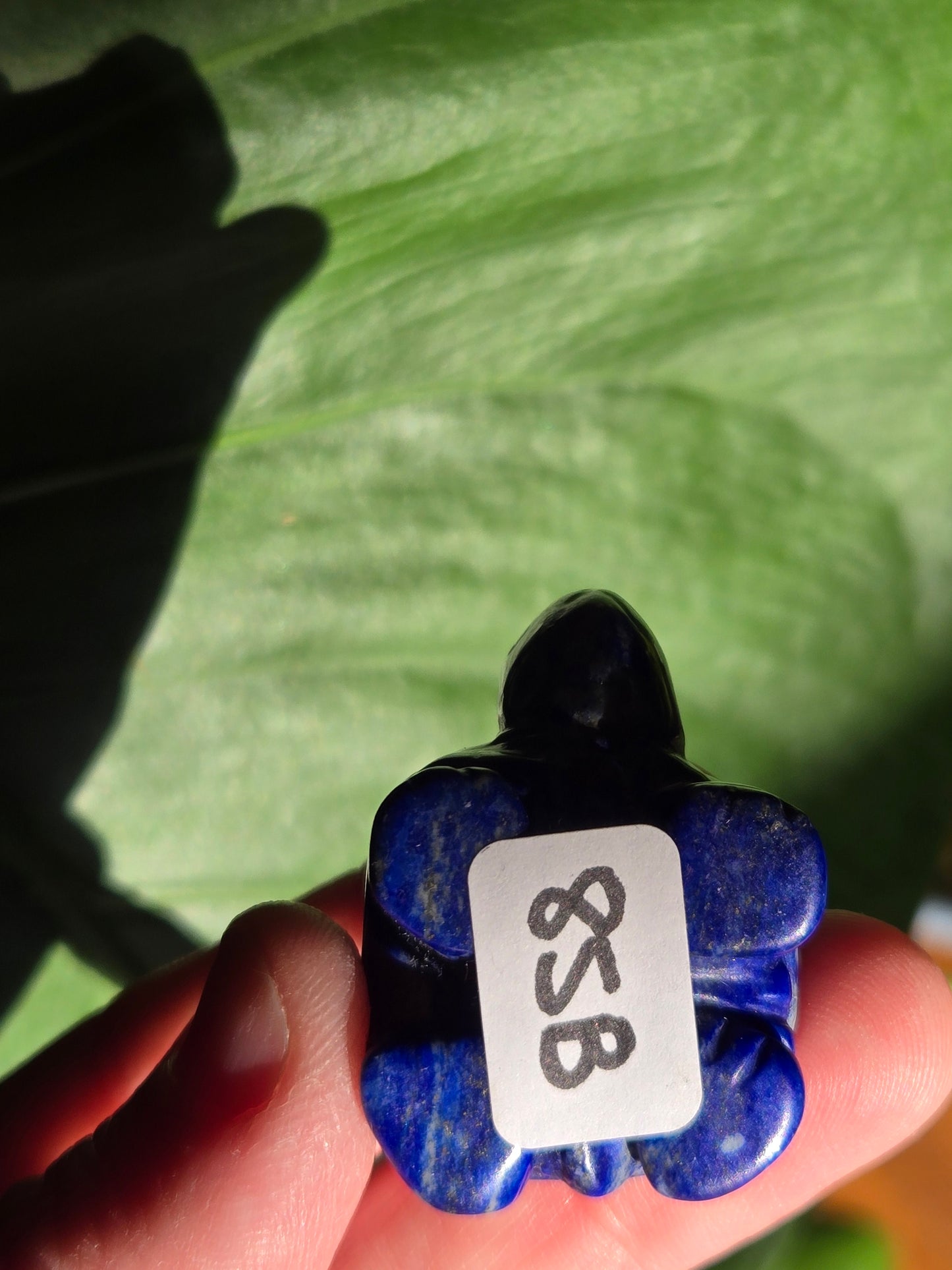 Sodalite Turtle Carving (B)