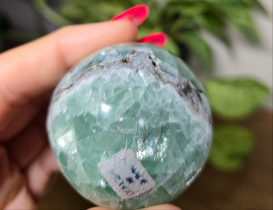 Comment to Claim Quincyiris