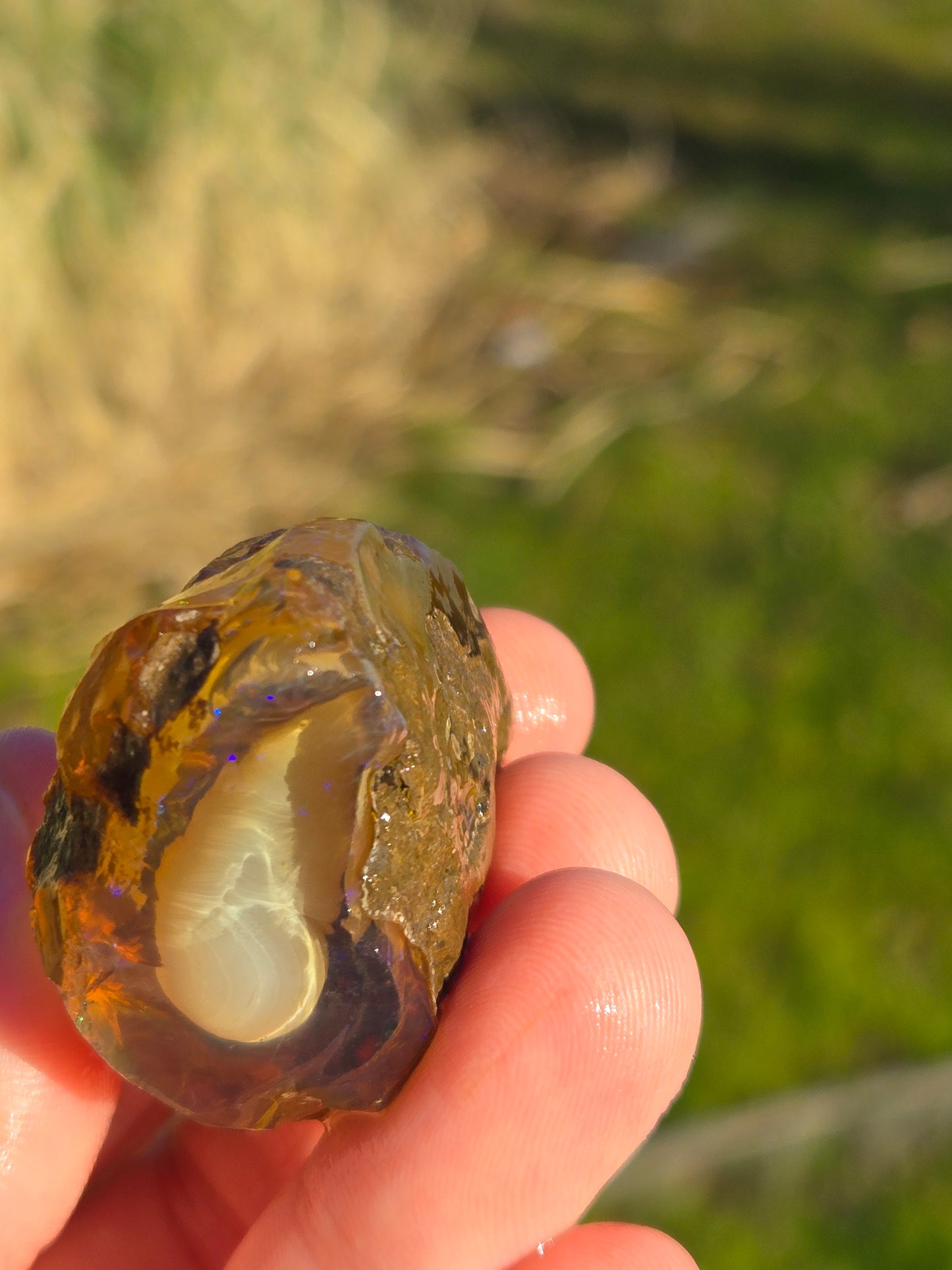 Ethiopian Water Opal with Egg(4)