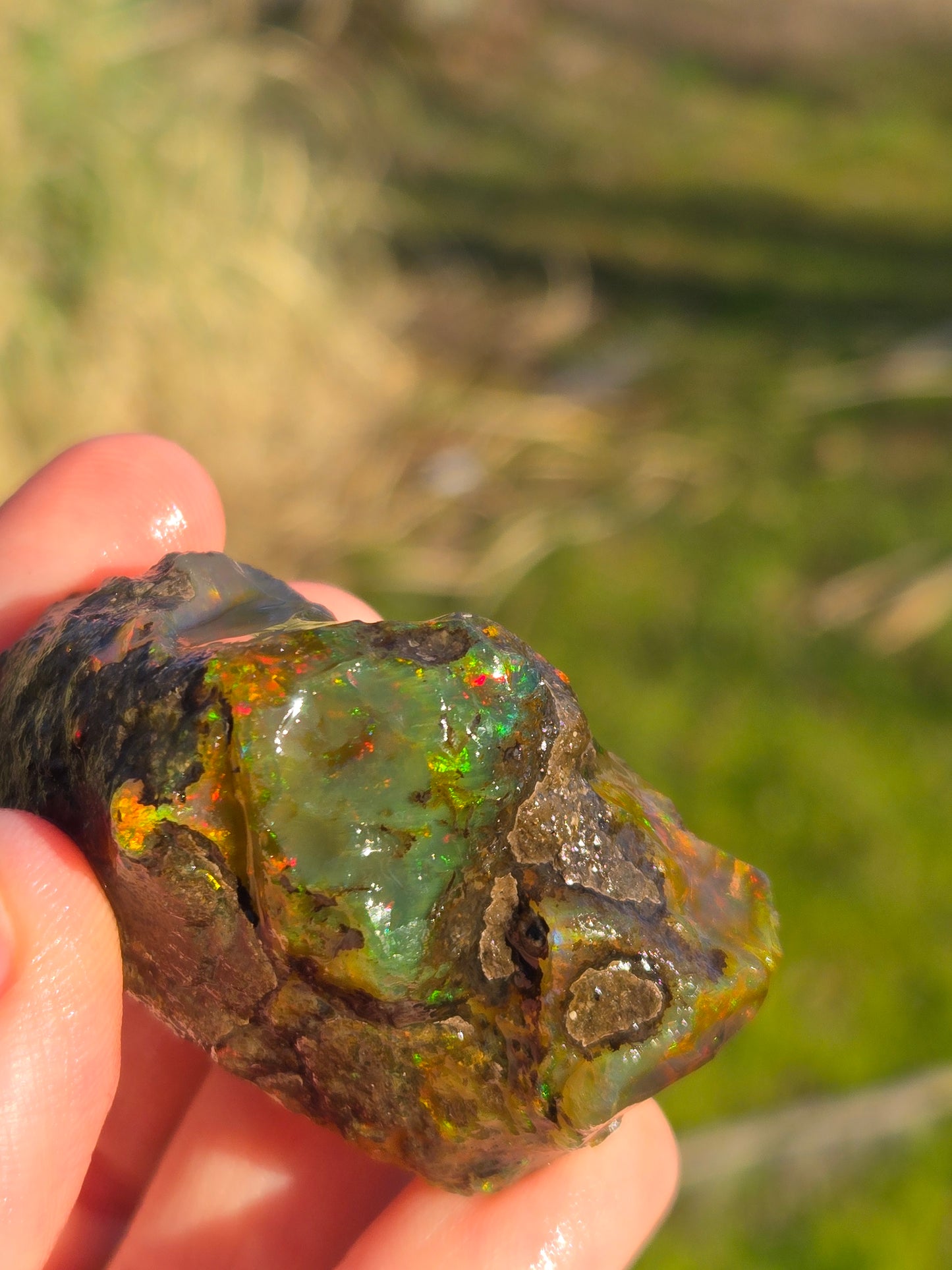 Ethiopian Water Opal (5)