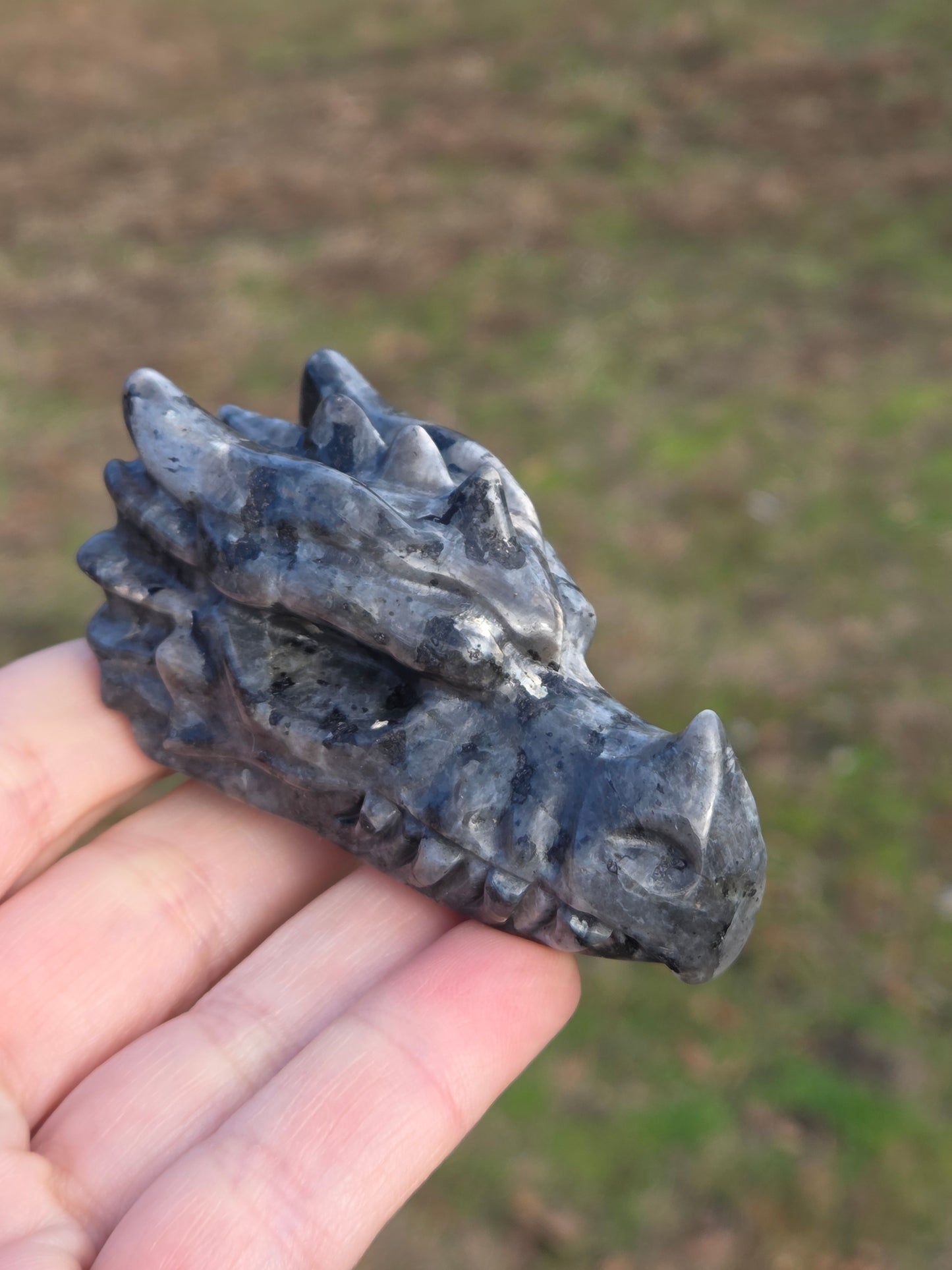 Larvikite Dragon Head