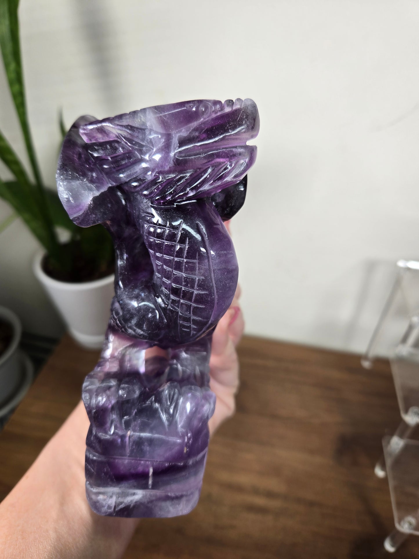 Fluorite Dragon