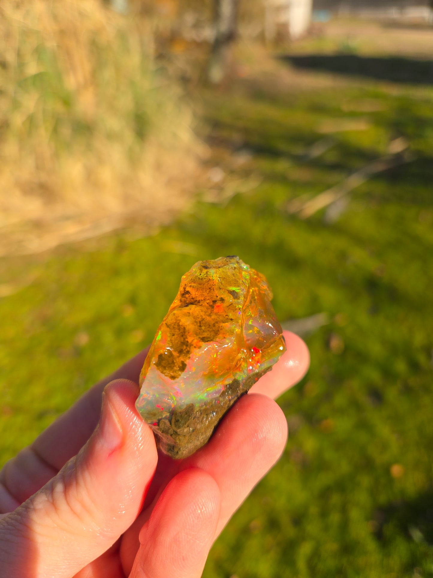 Ethiopian Water Opal