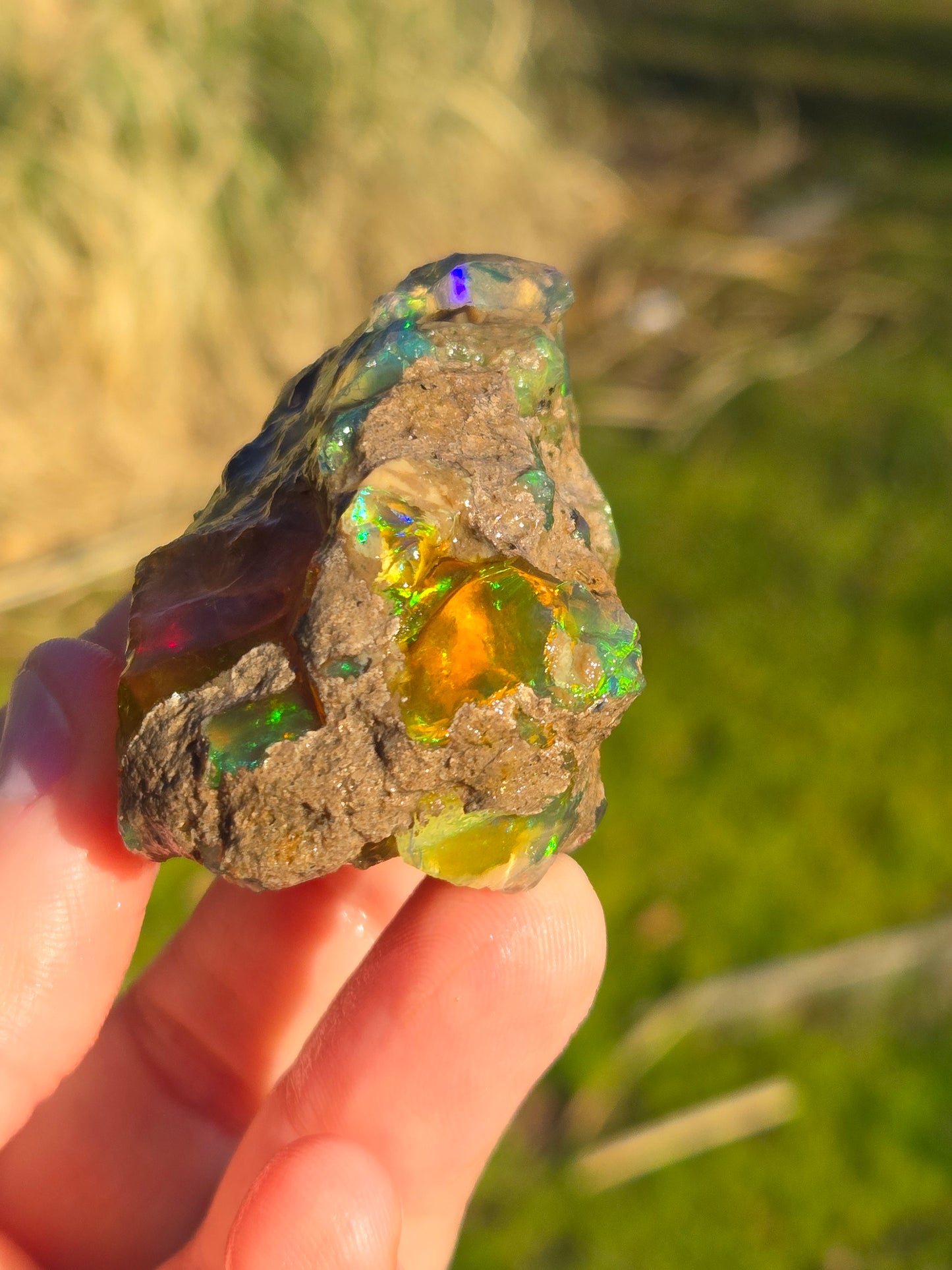Ethiopian Water Opal (6)